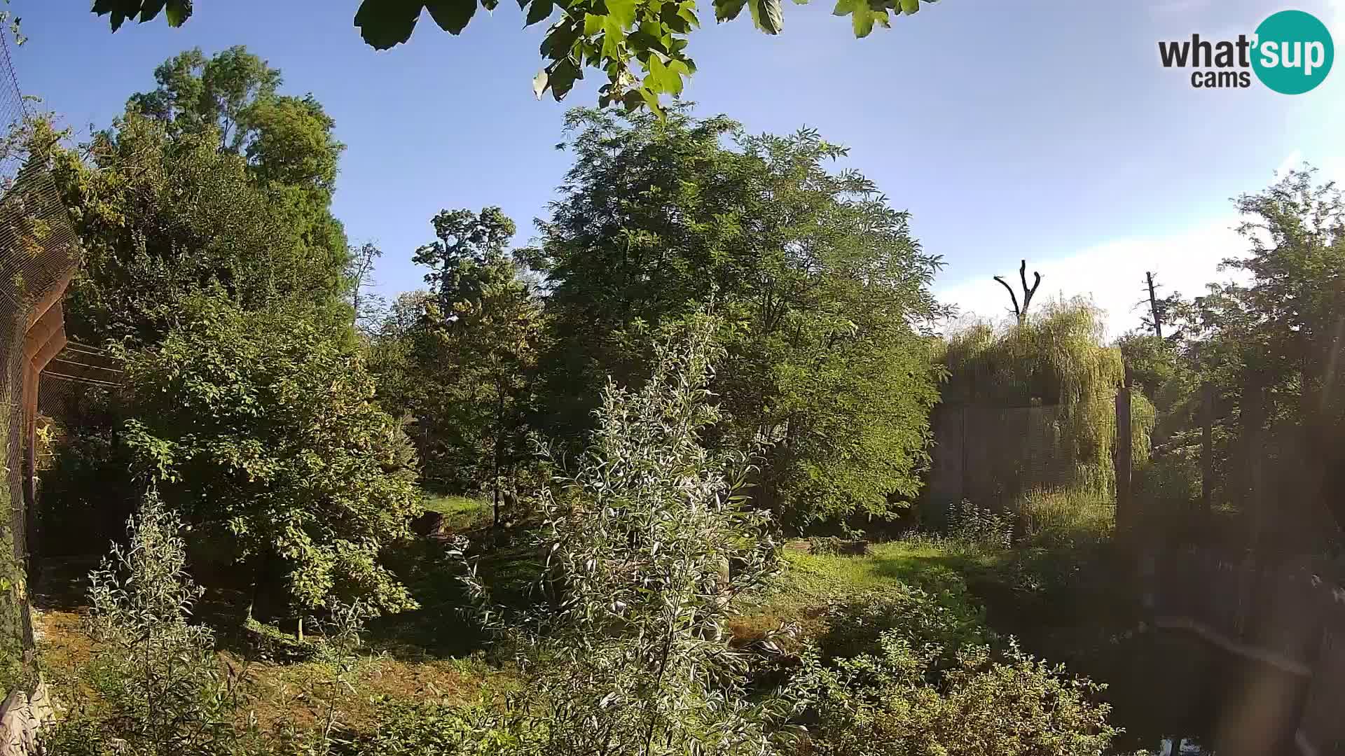 Zoo Zagreb – Löwen