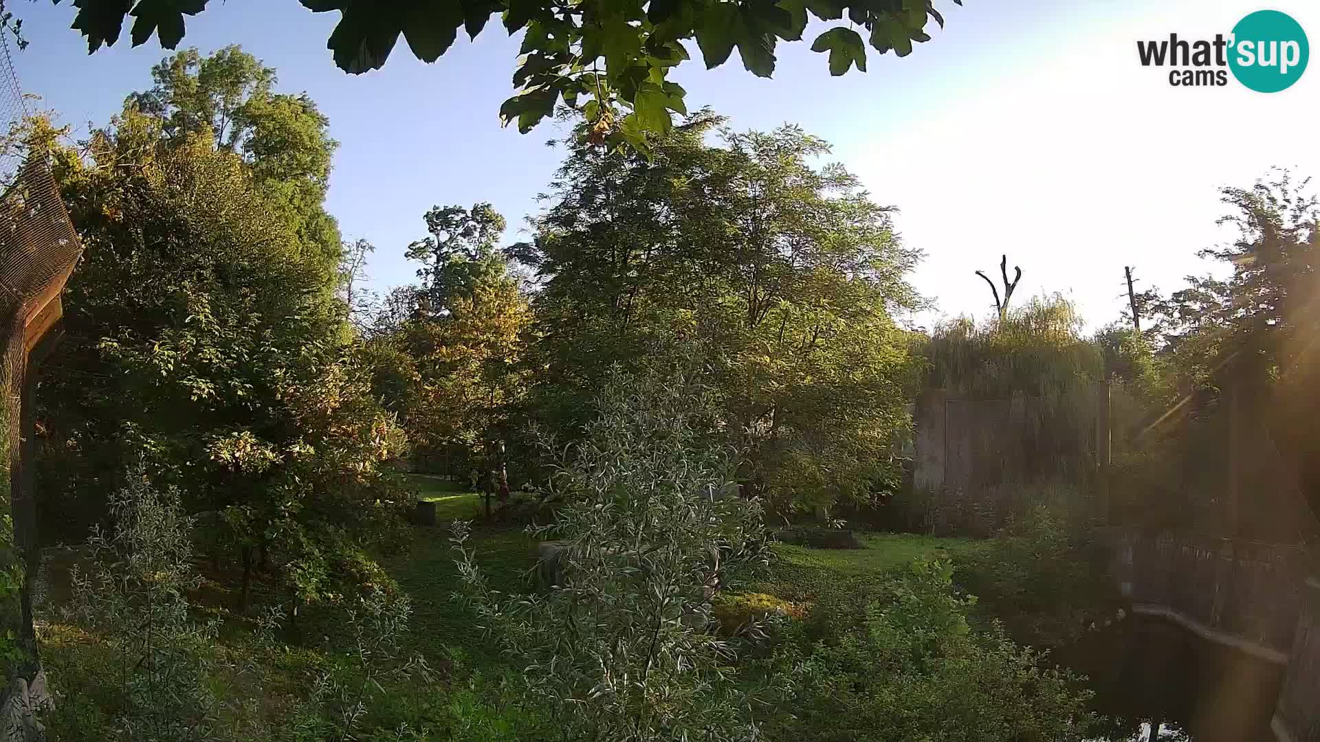 Zoo Zagreb – Lavovi