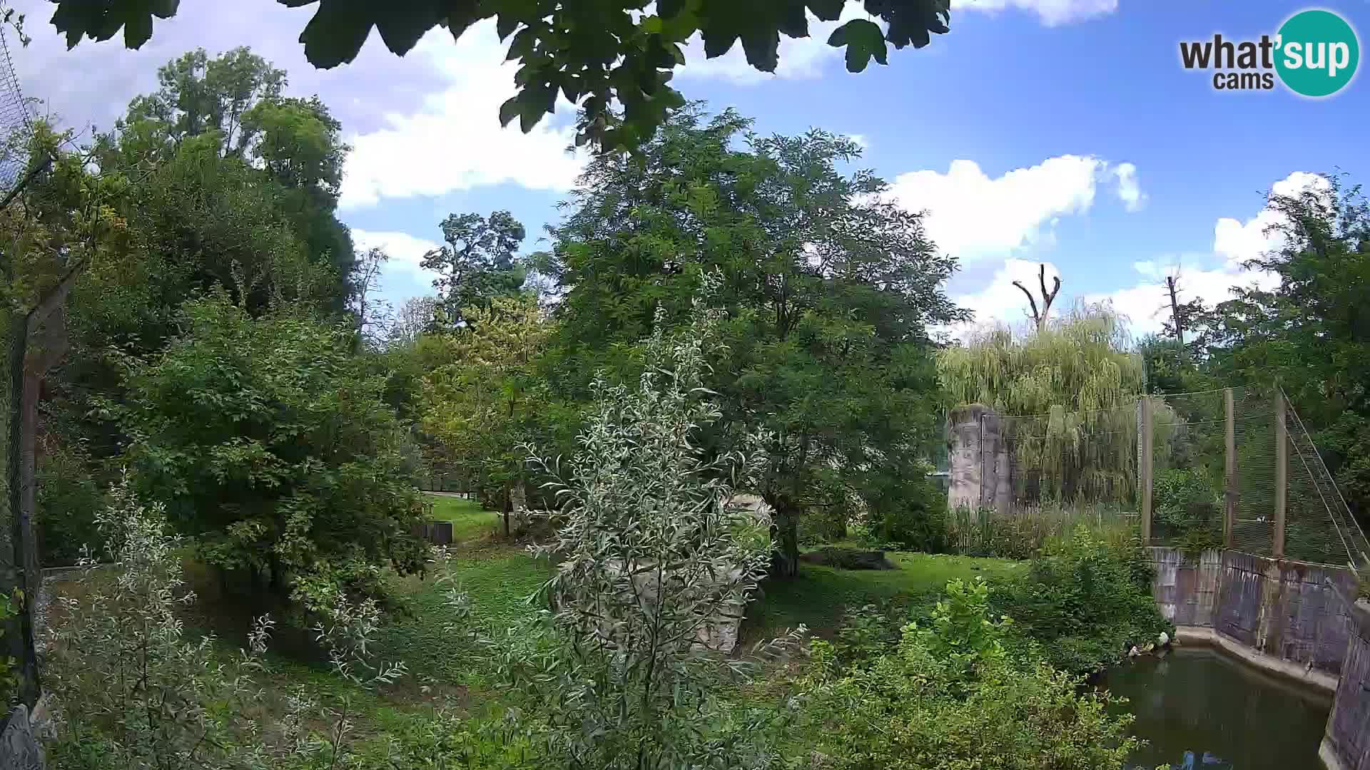 Zoo Zagreb – Löwen