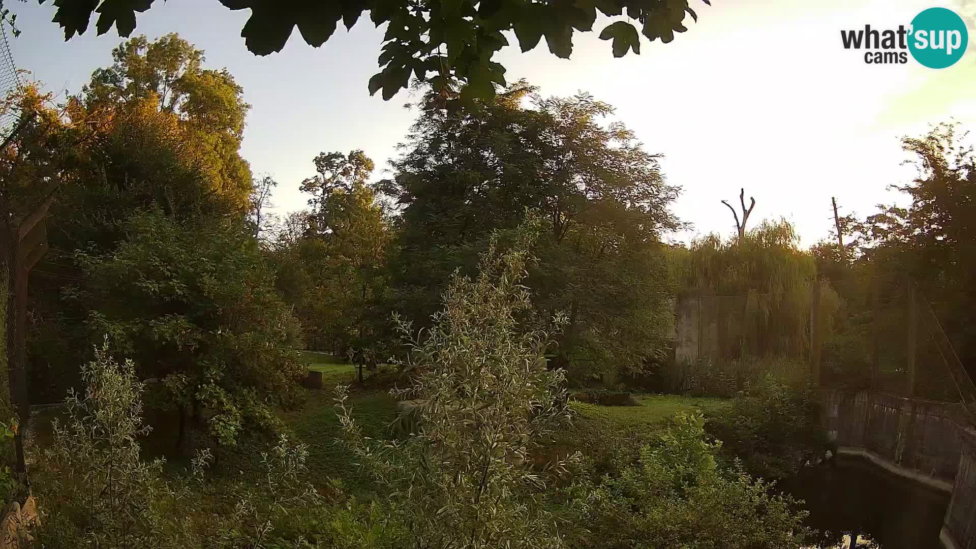 Zoo Zagreb – Leones