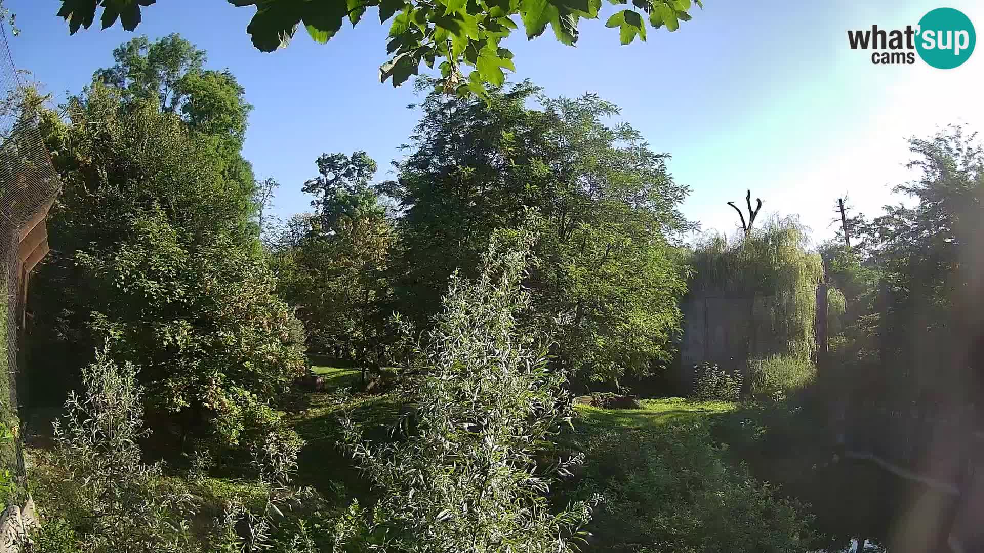 Spletna kamera Zoo Zagreb – Levi