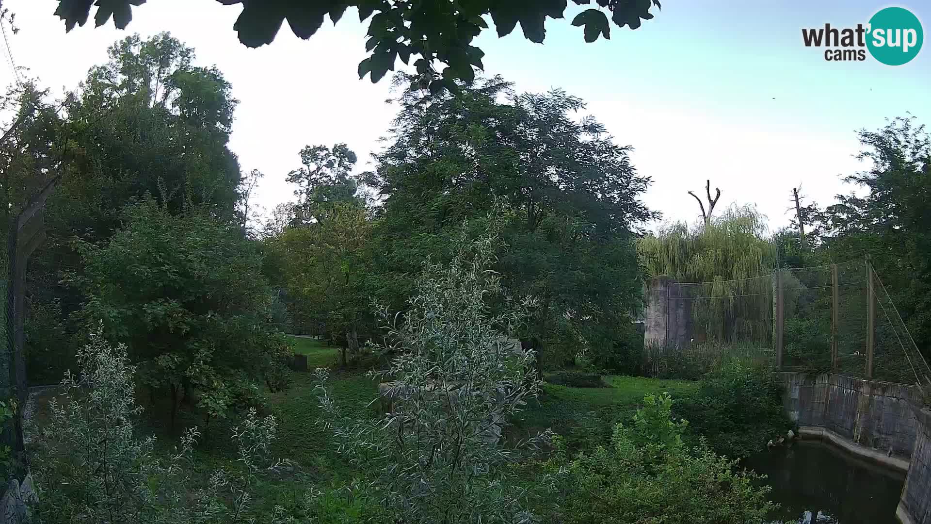 Zoo Zagreb – Leones