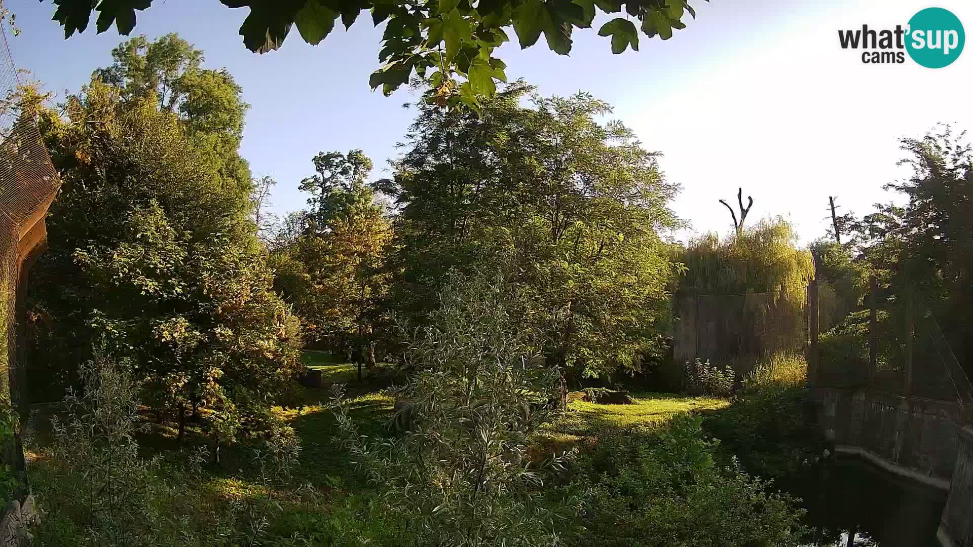 Zoo Zagreb – Löwen