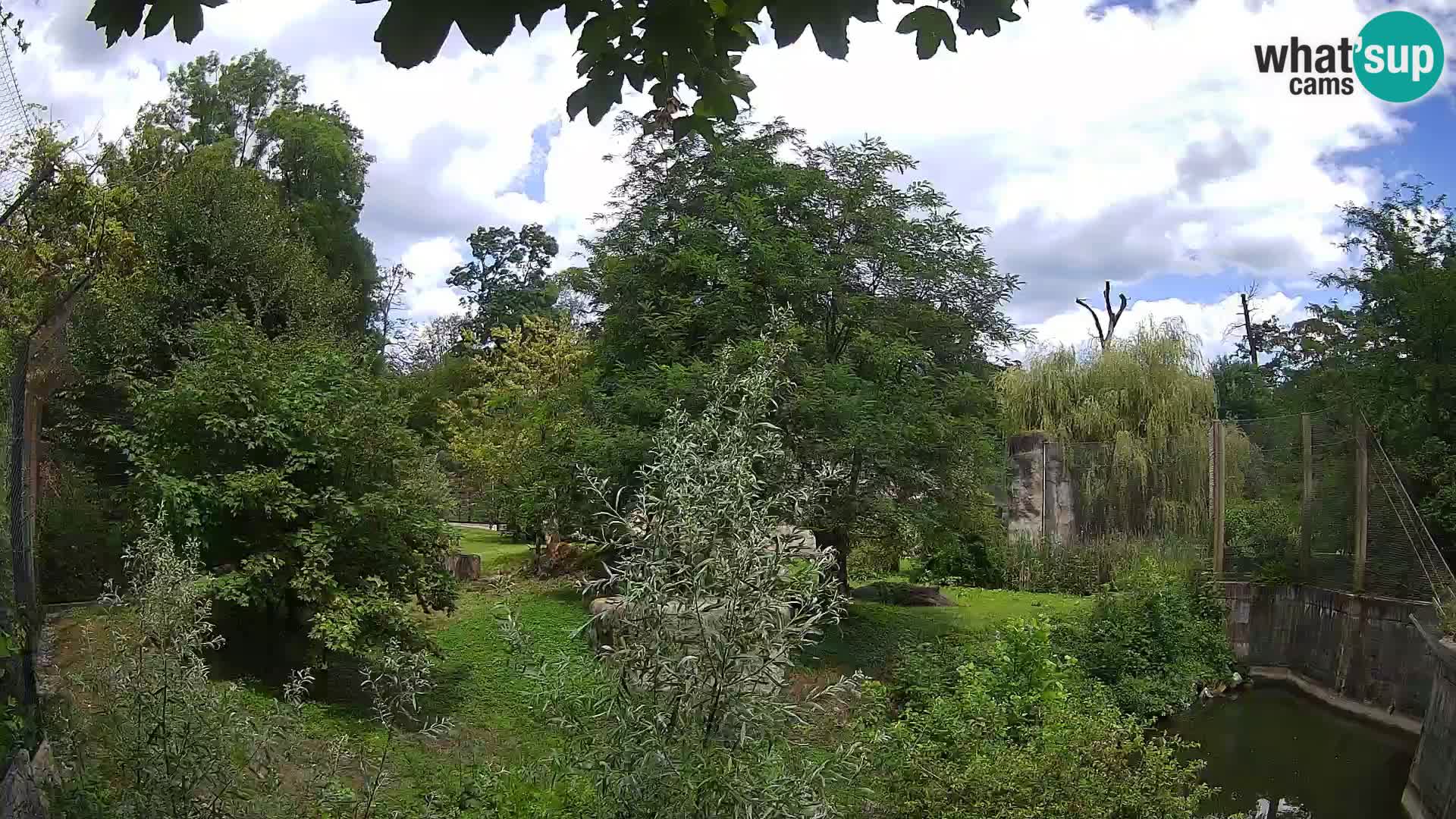 Zoo Zagreb – Leoni