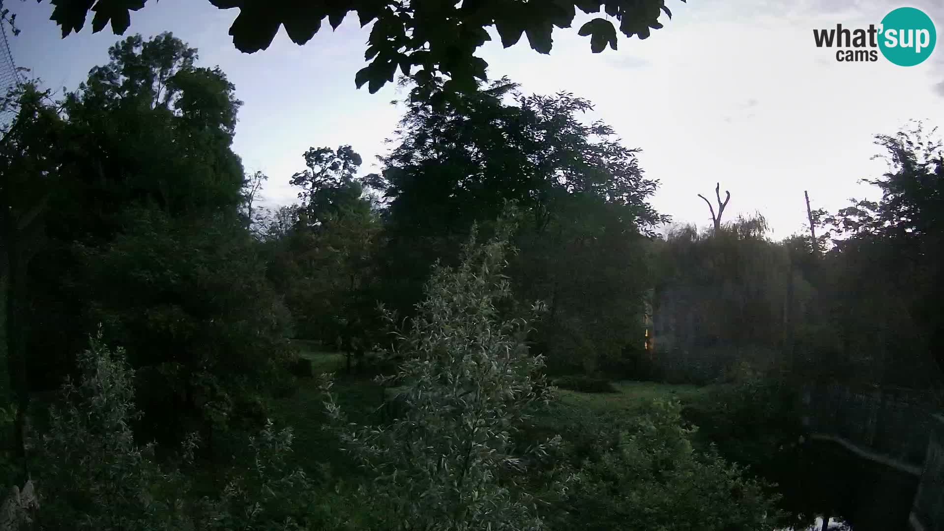 Zoo Zagreb – Löwen