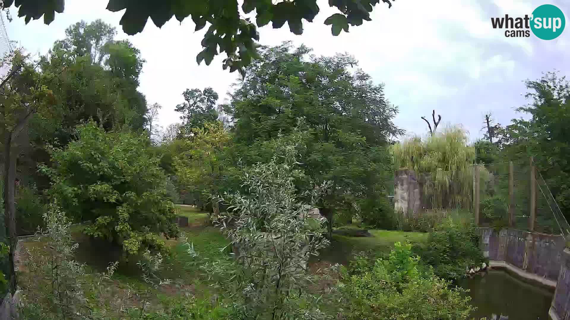 Zoo Zagreb – Leones