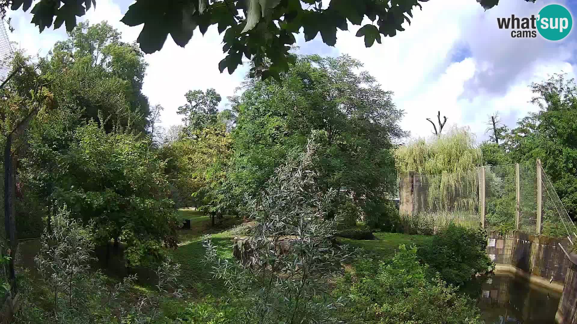 Zoo Zagreb – Löwen