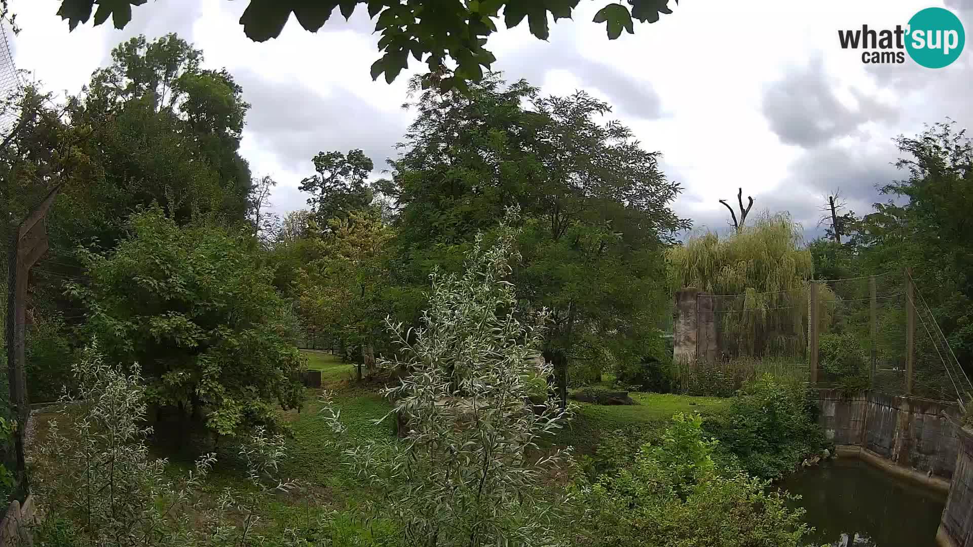 Zoo Zagreb – Leoni