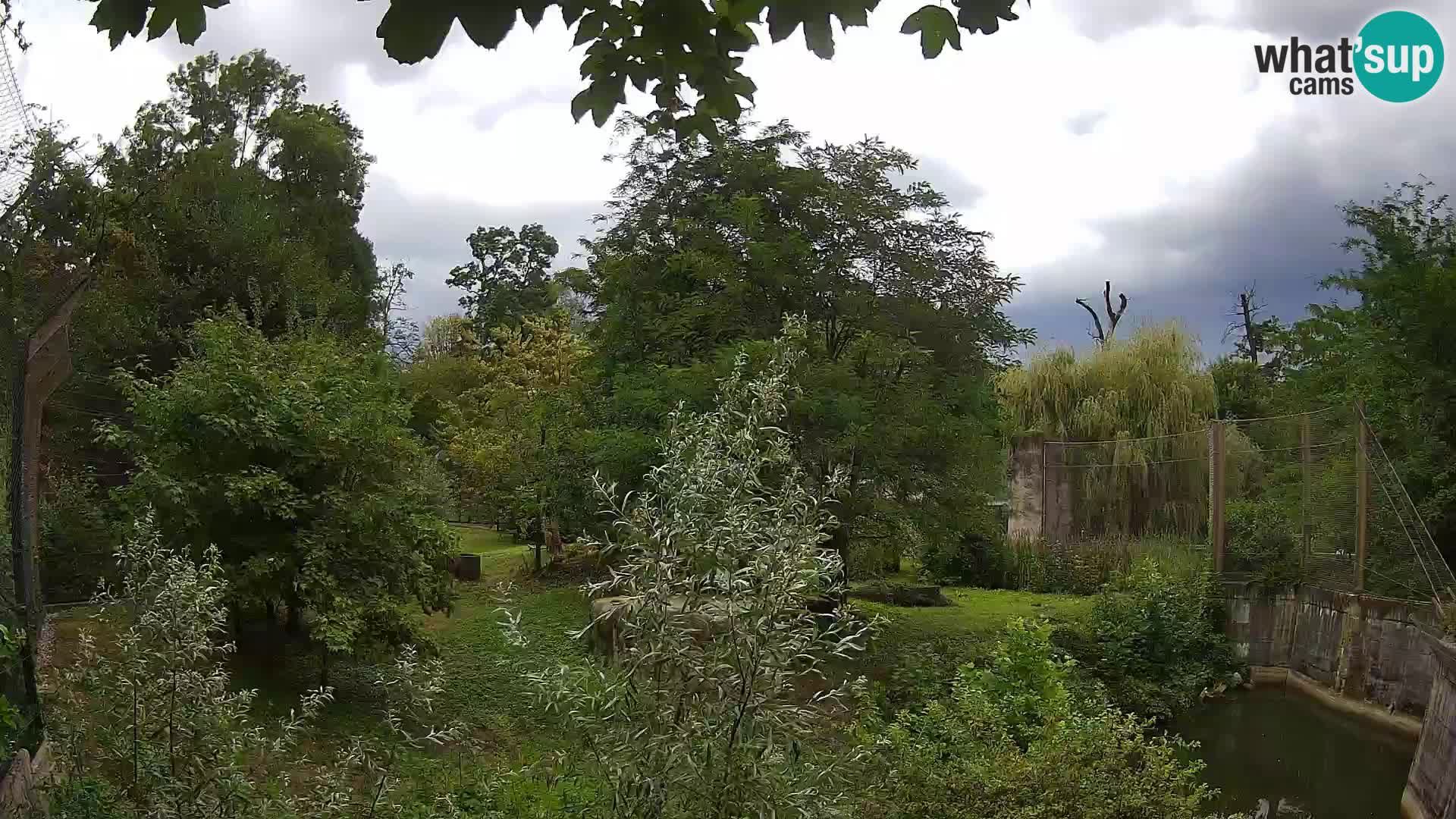 Zoo Zagreb – Leoni
