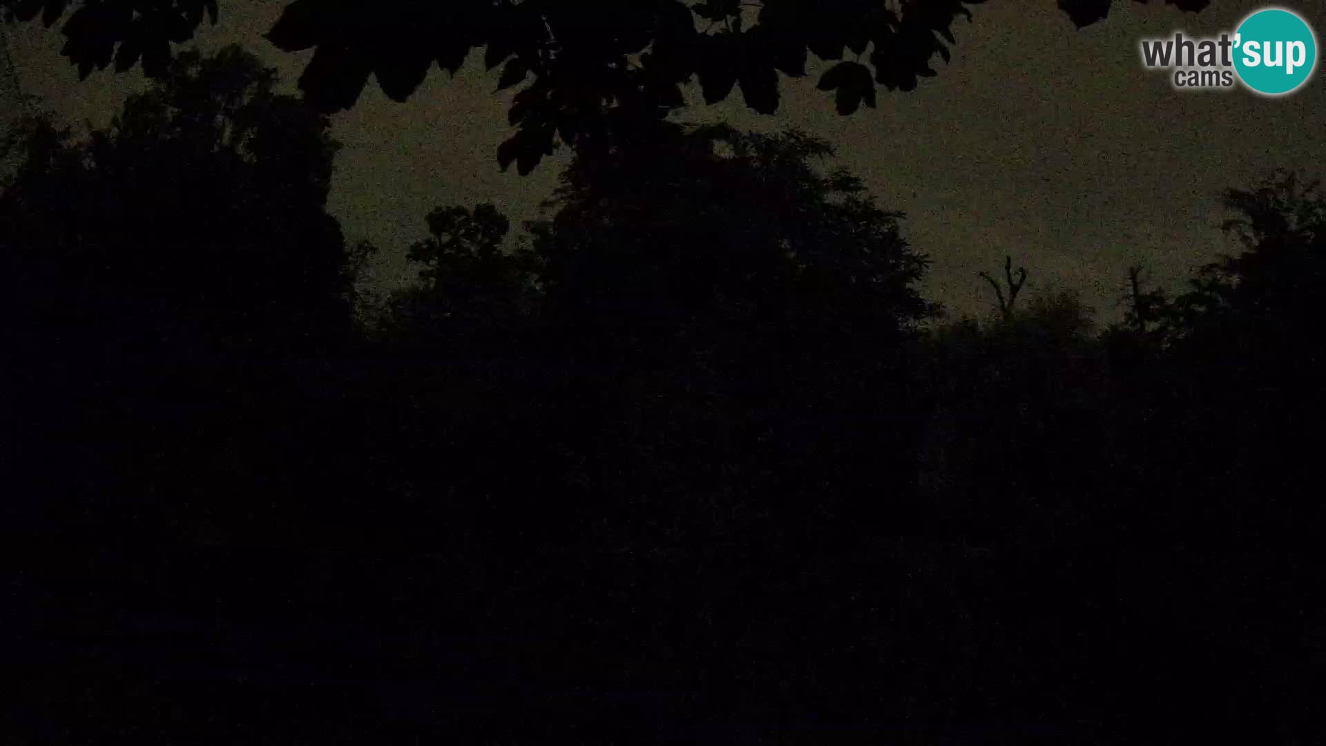 Zoo Zagreb – Leoni