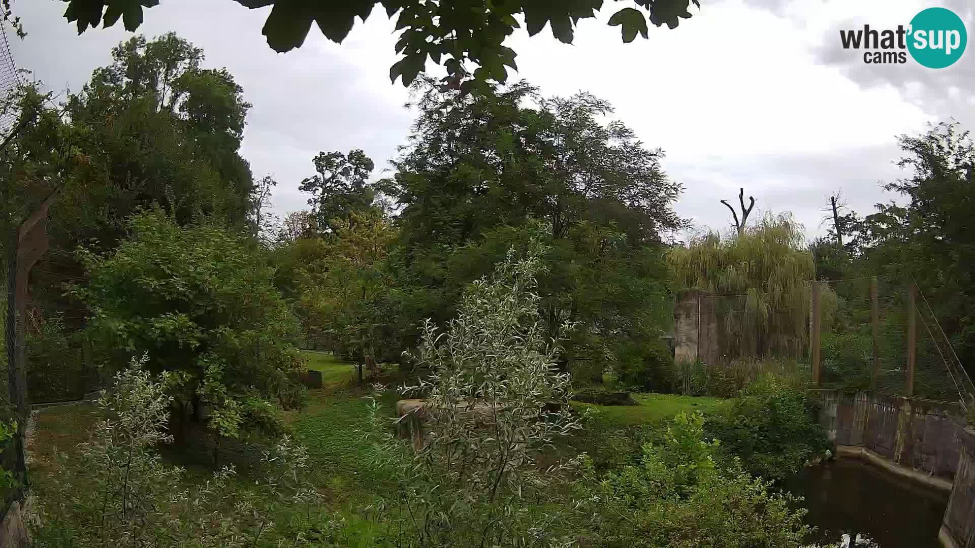 Zoo Zagreb – Leoni