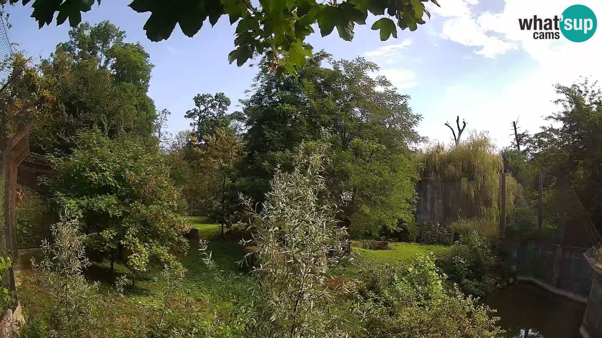 Zoo Zagreb – Löwen