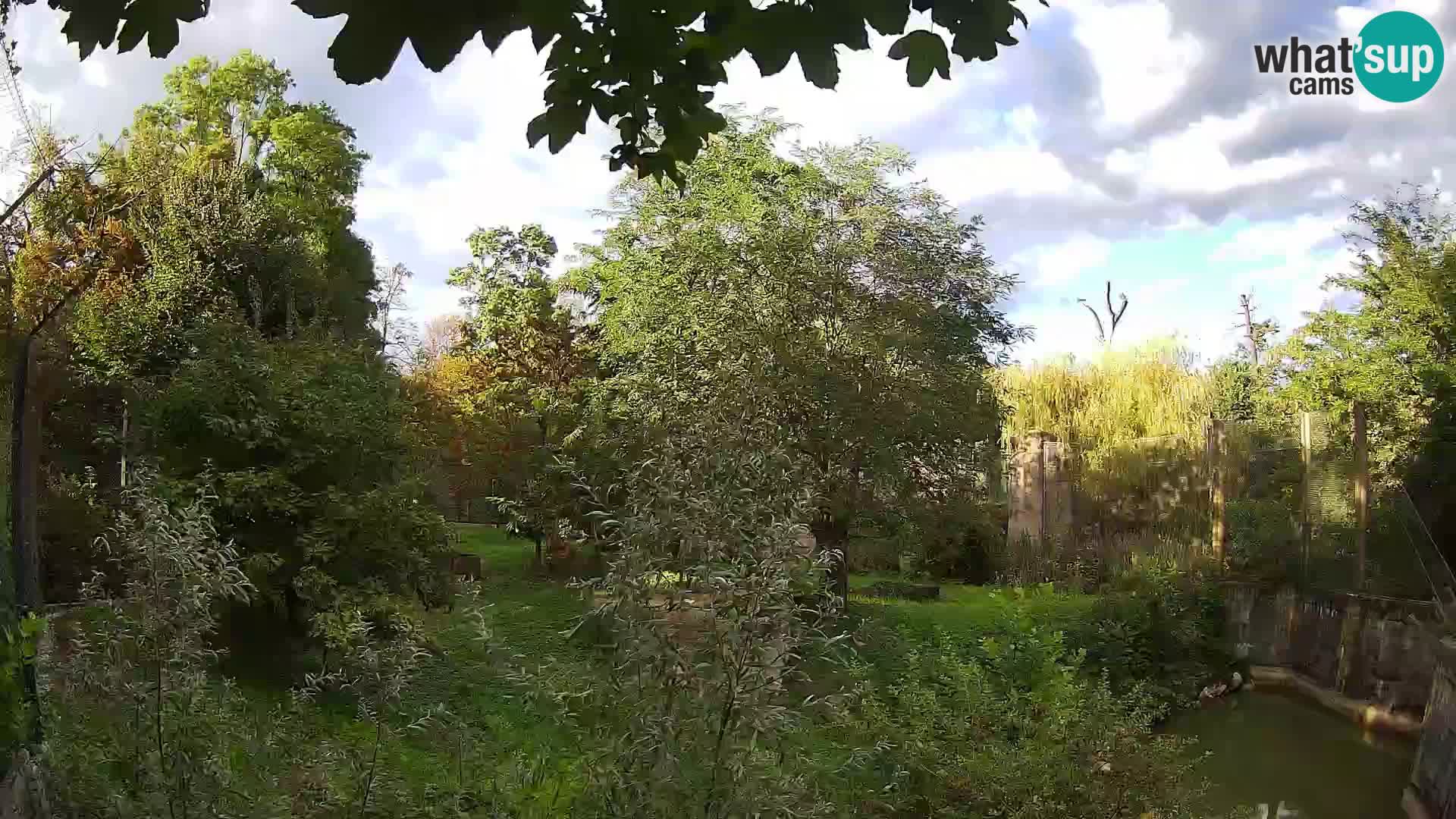 Zoo Zagreb – Leoni