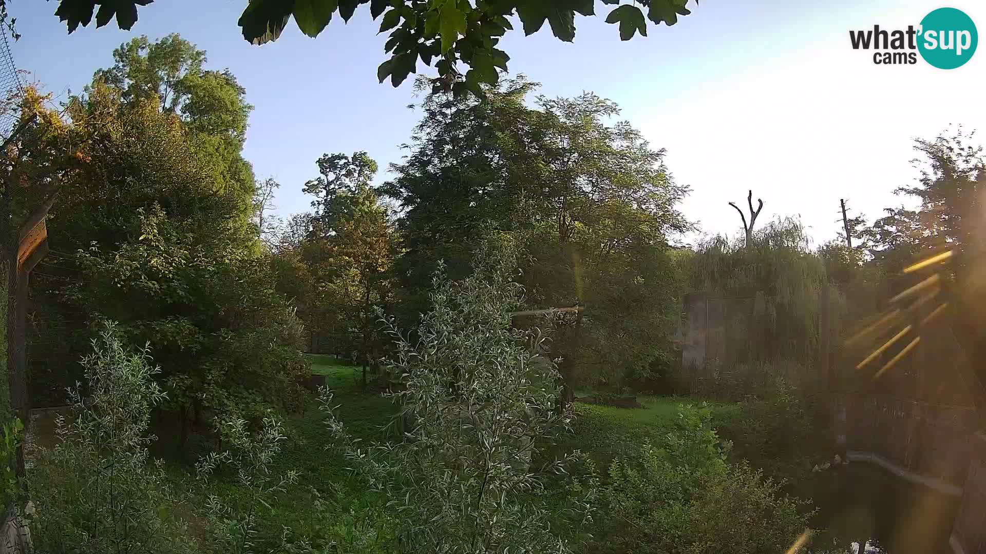 Zoo Zagreb – Löwen