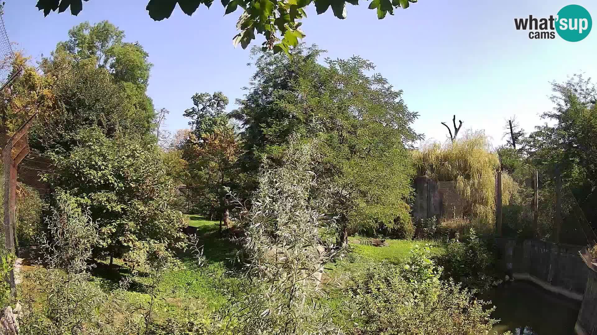 Zoo Zagreb – Leoni