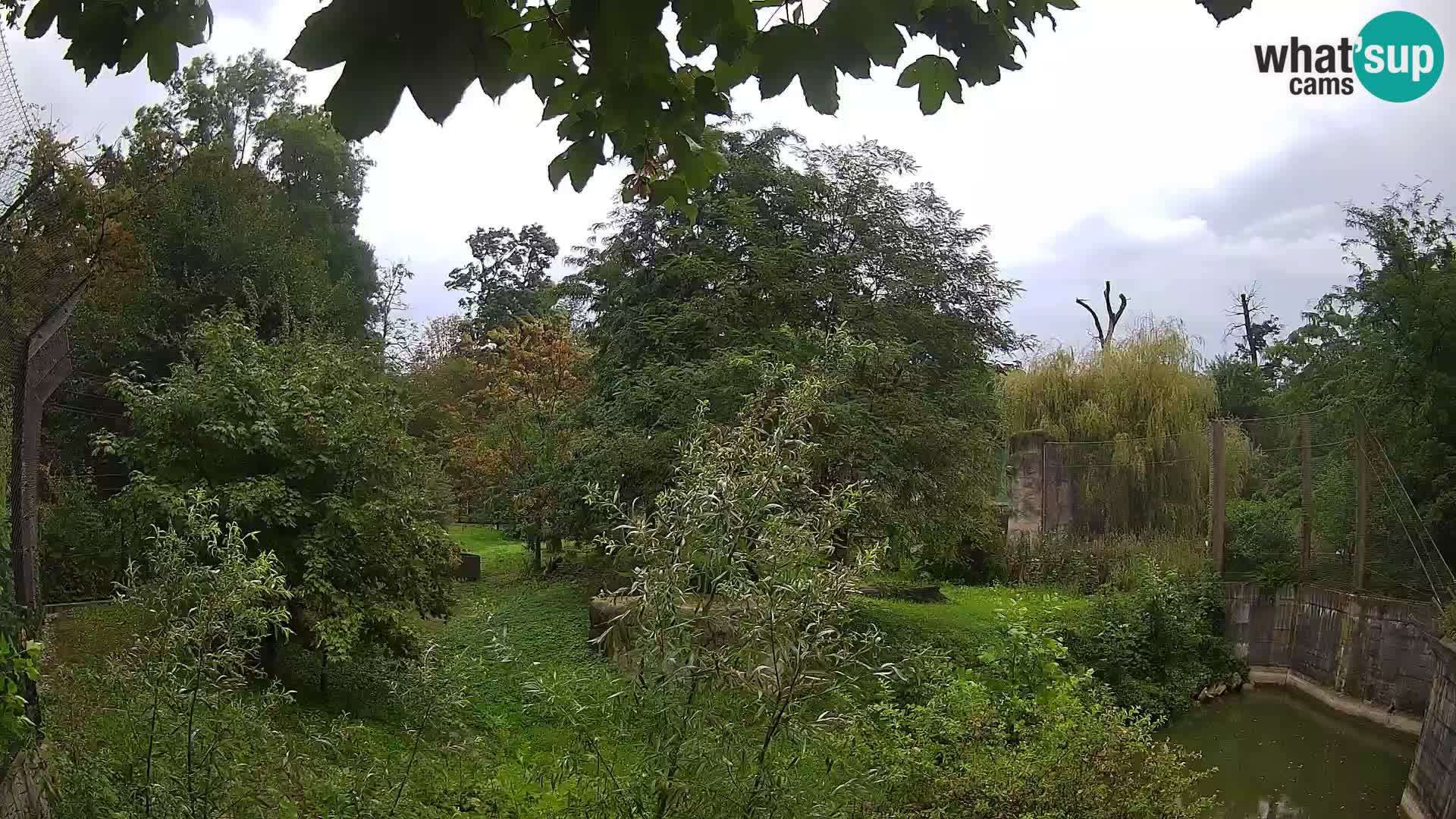 Zoo Zagreb – Leoni