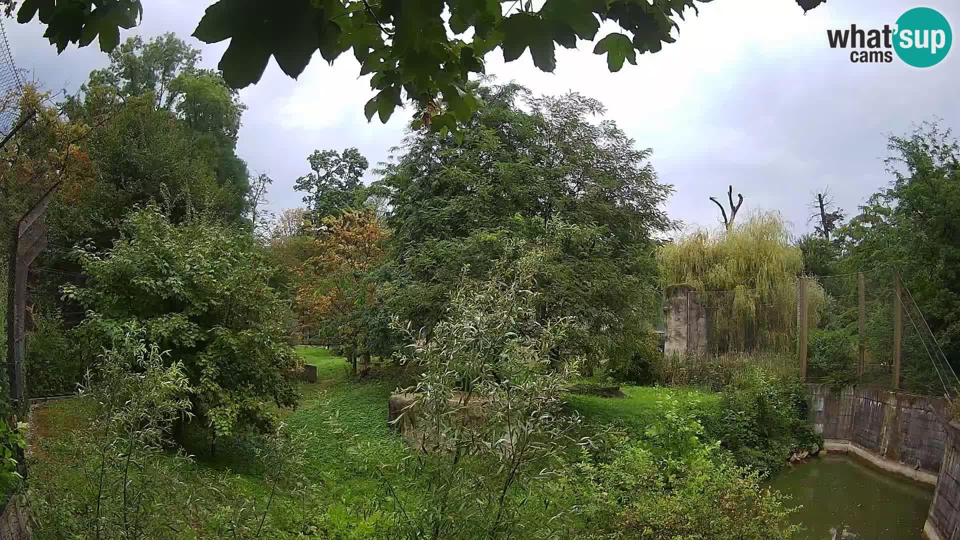 Zoo Zagreb – Leoni