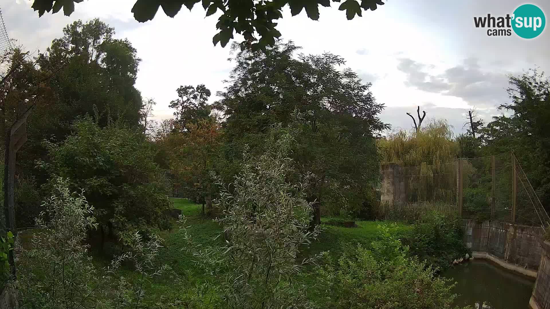 Zoo Zagreb – Leoni