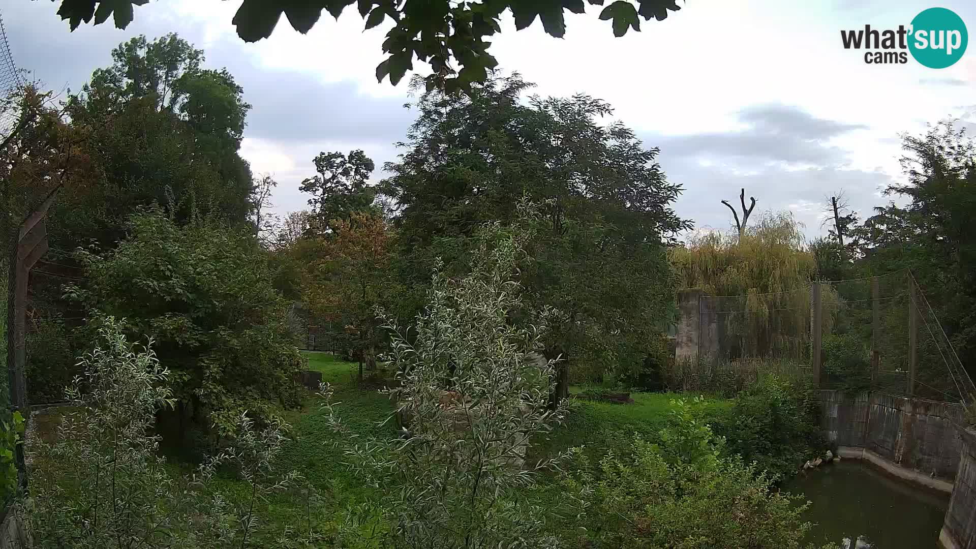 Zoo Zagreb – Leoni