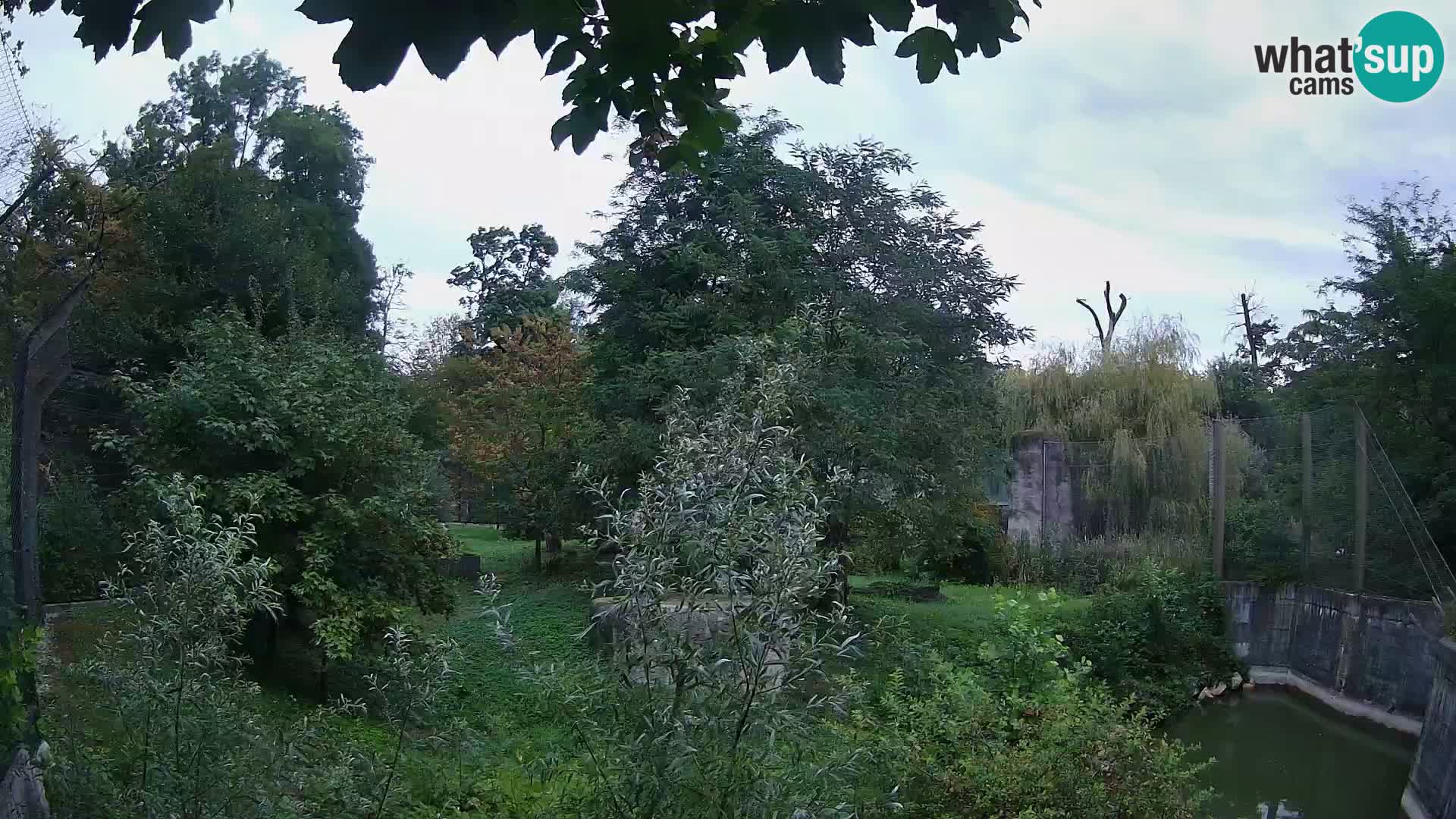 Zoo Zagreb – Löwen