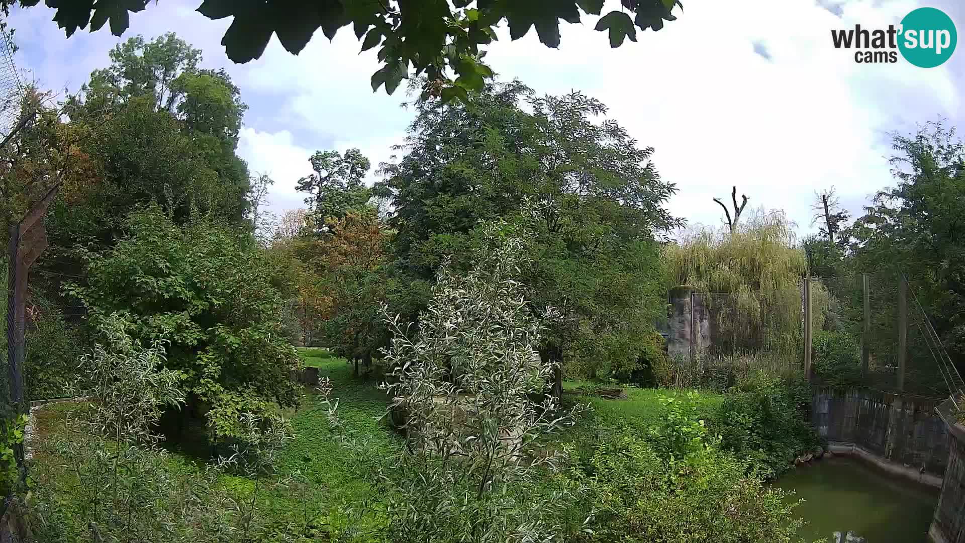 Zoo Zagreb – Löwen