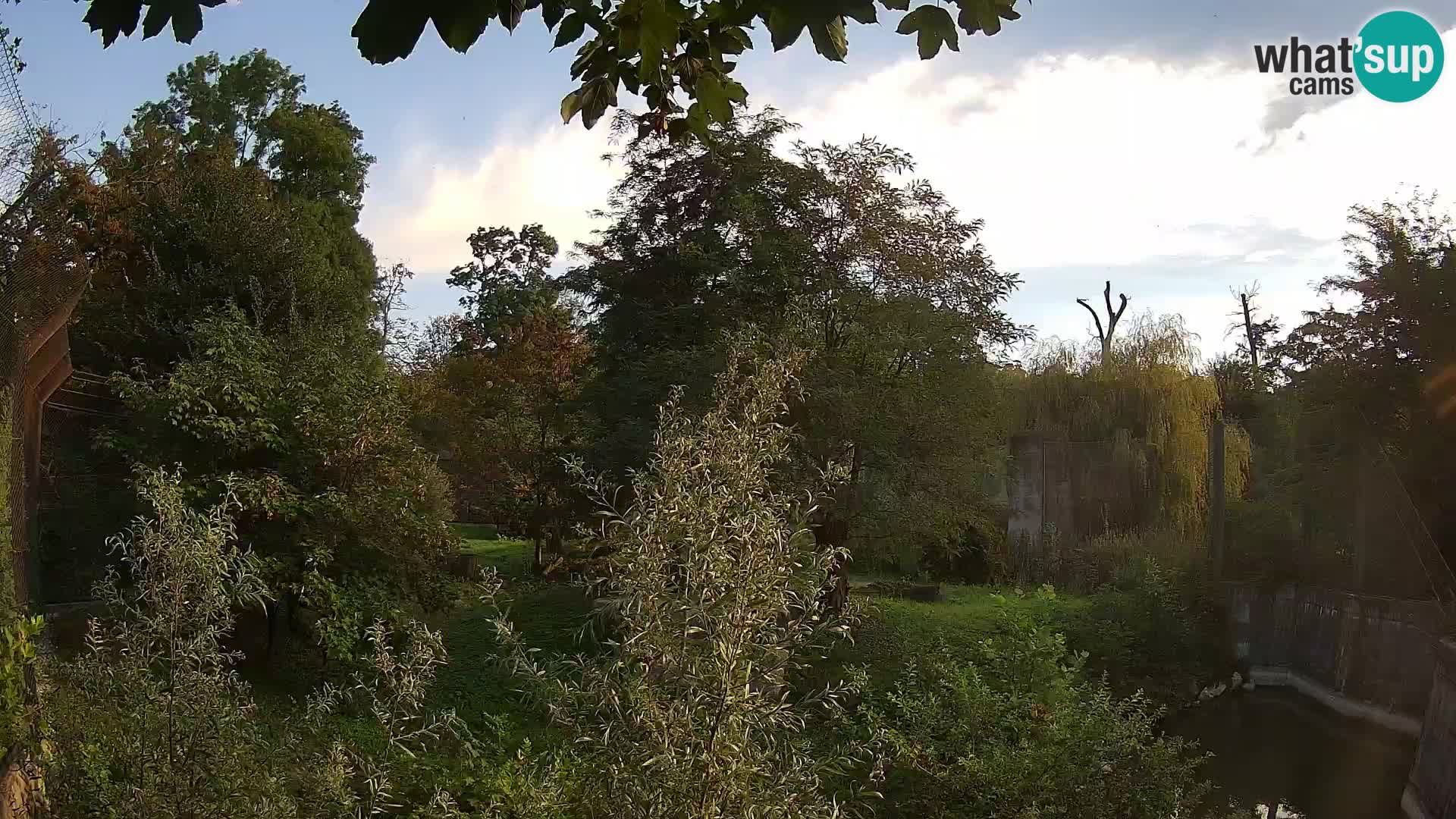 Zoo Zagreb – Leoni