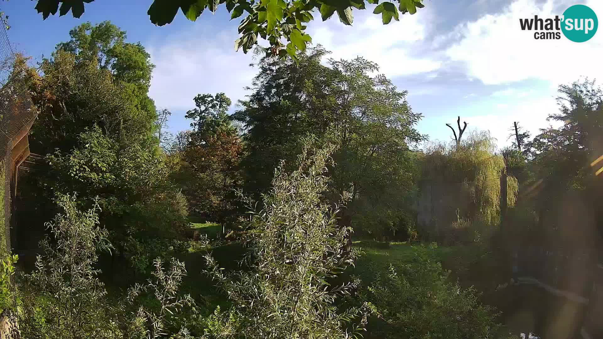 Spletna kamera Zoo Zagreb – Levi