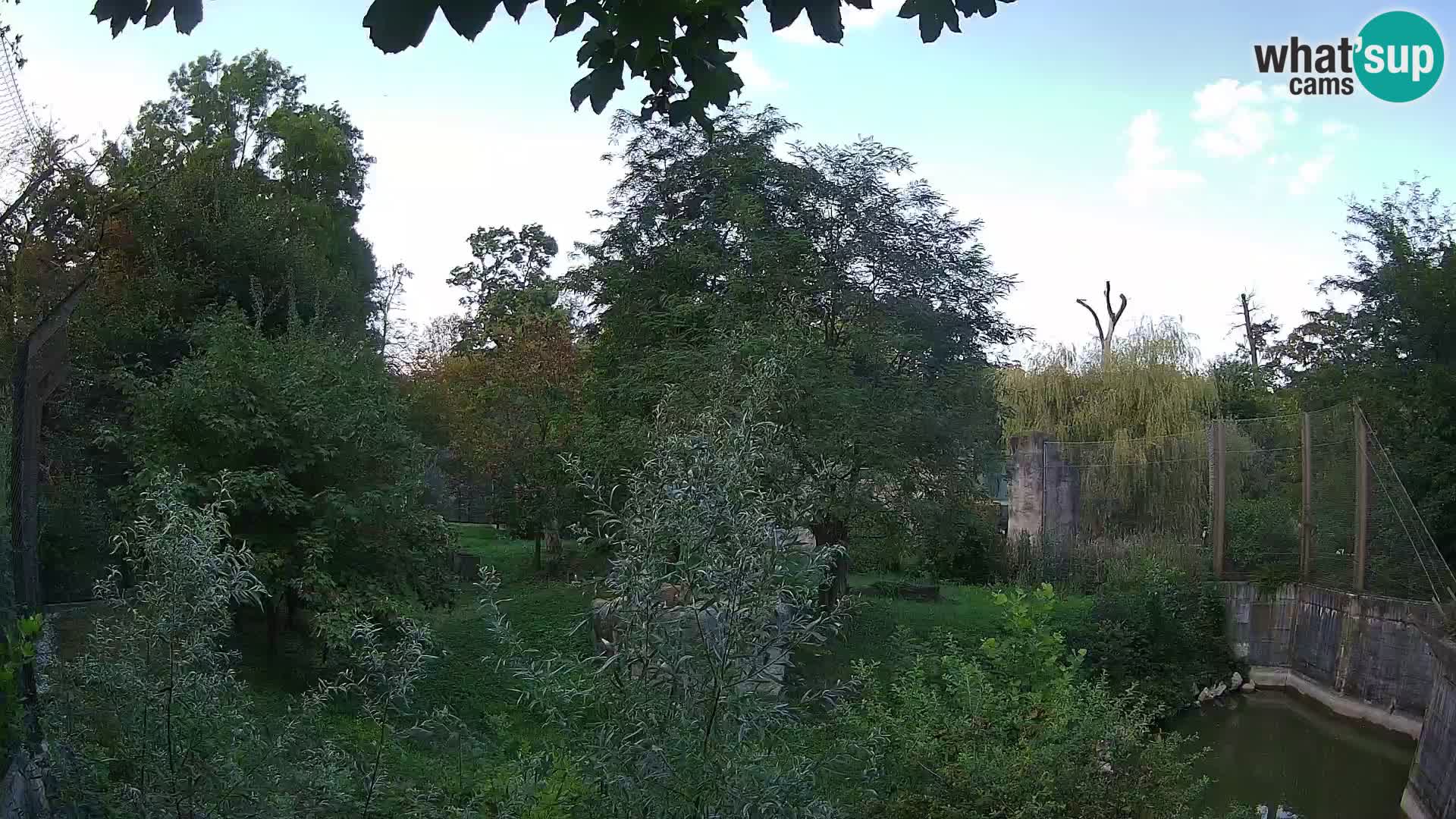 Zoo Zagreb – Leones