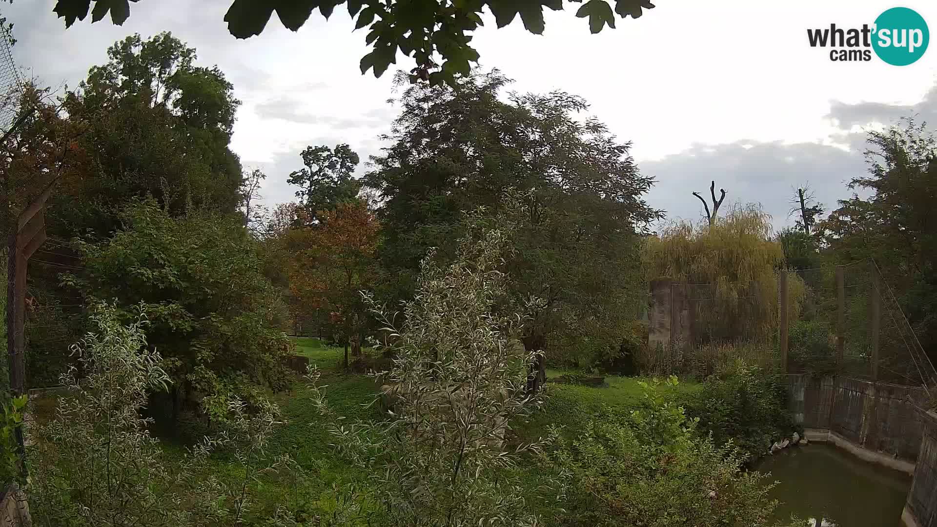 Spletna kamera Zoo Zagreb – Levi