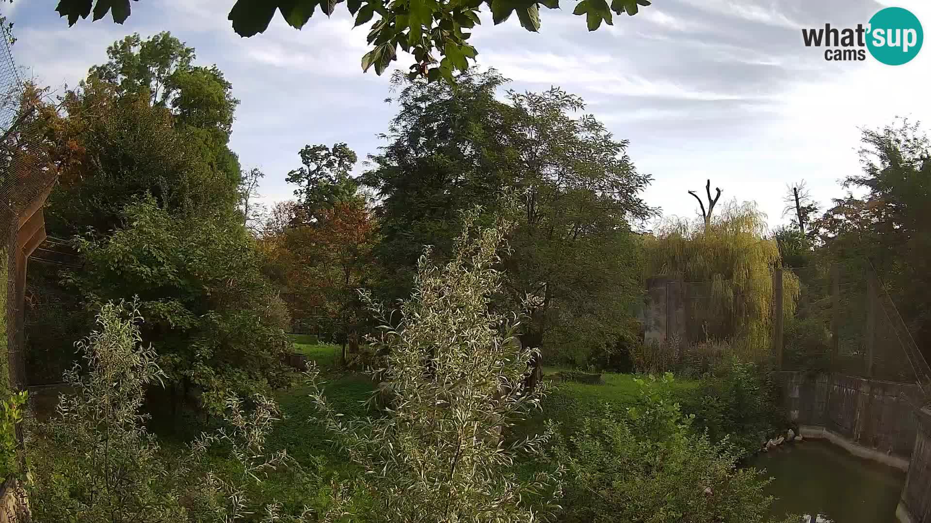 Zoo Zagreb – Lavovi