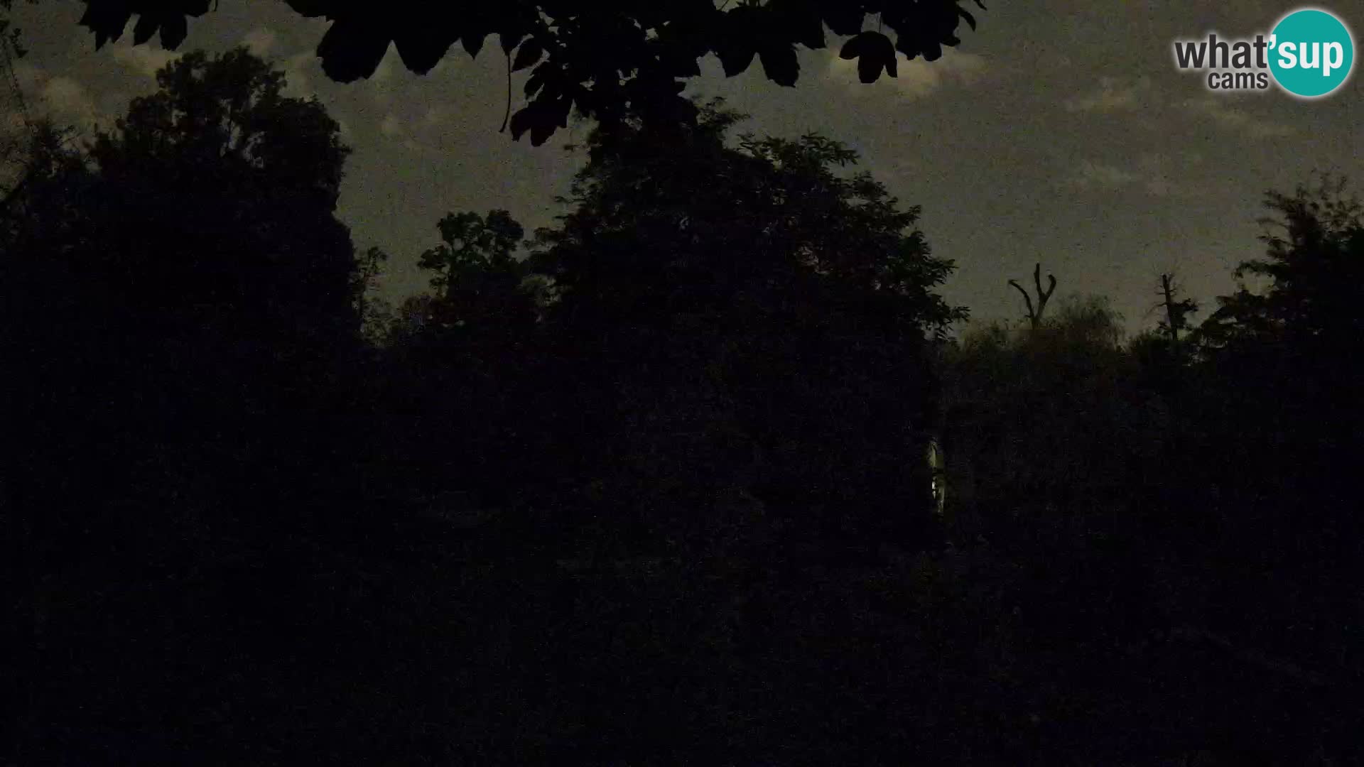 Zoo Zagreb – Löwen