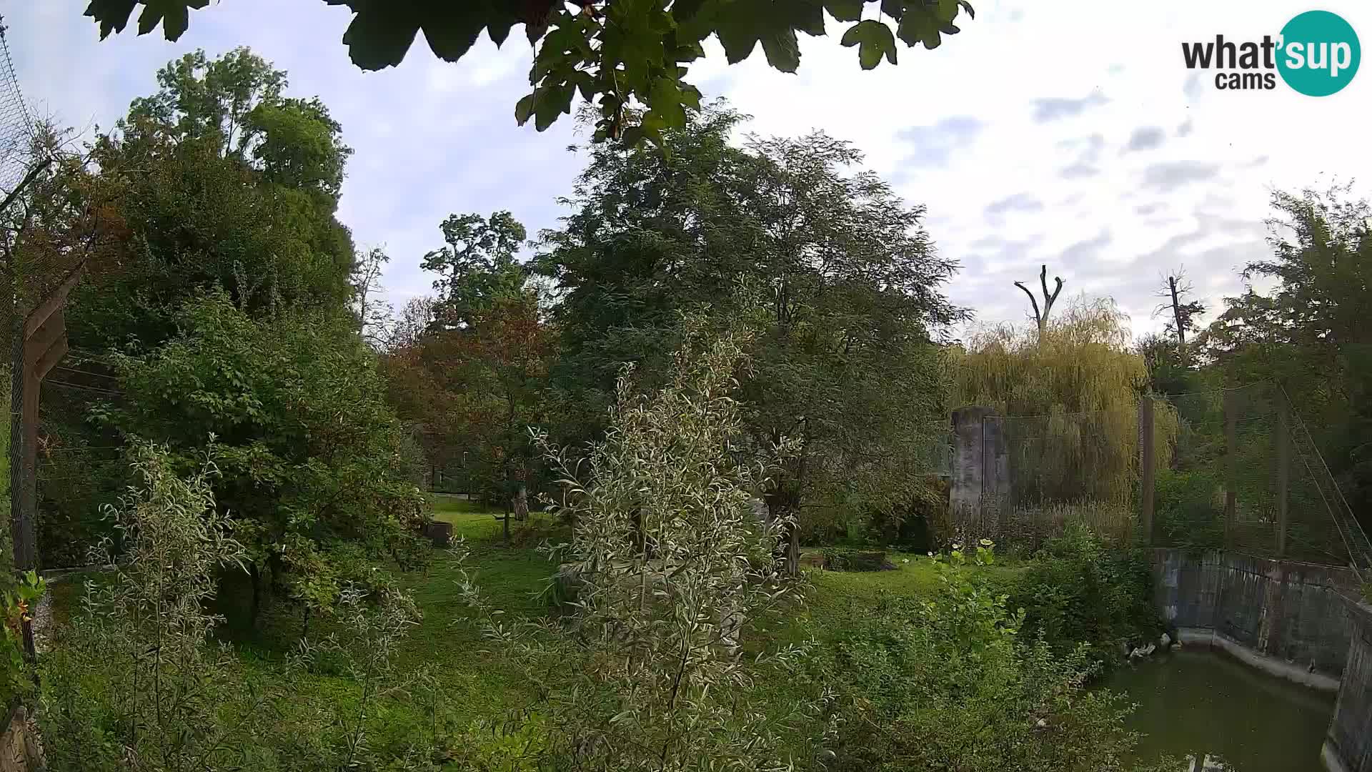 Zoo Zagreb – Lavovi