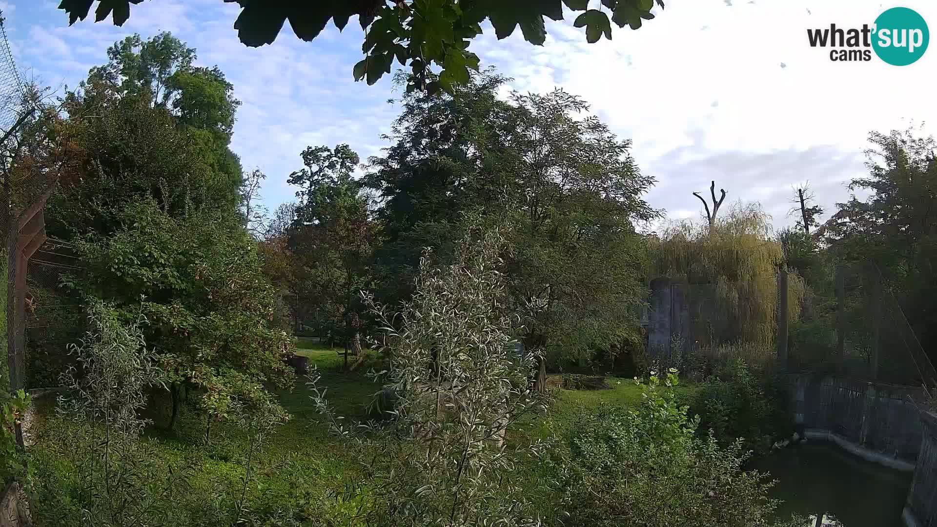 Zoo Zagreb – Leoni