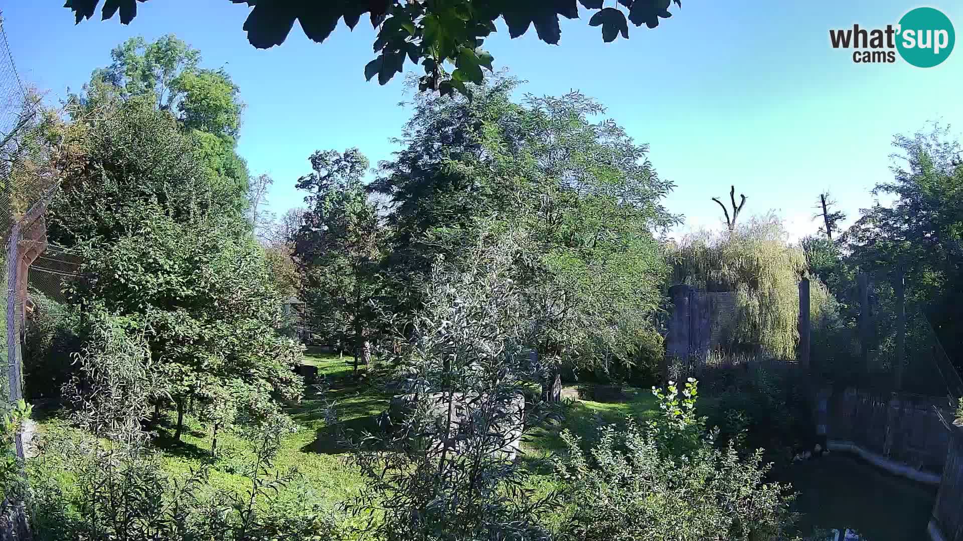 Zoo Zagreb – Leoni