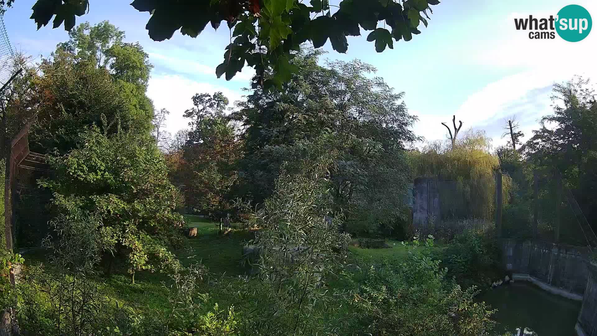 Zoo Zagreb – Leoni