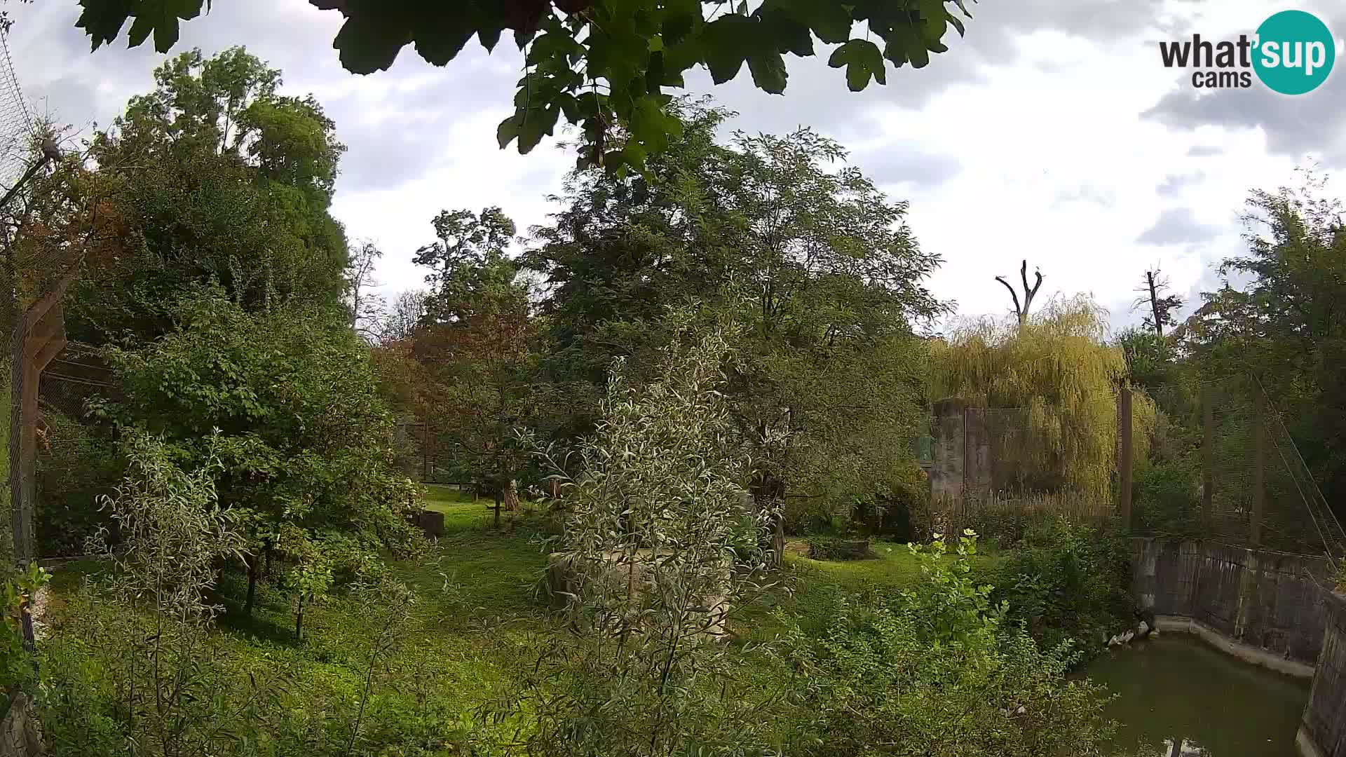 Spletna kamera Zoo Zagreb – Levi
