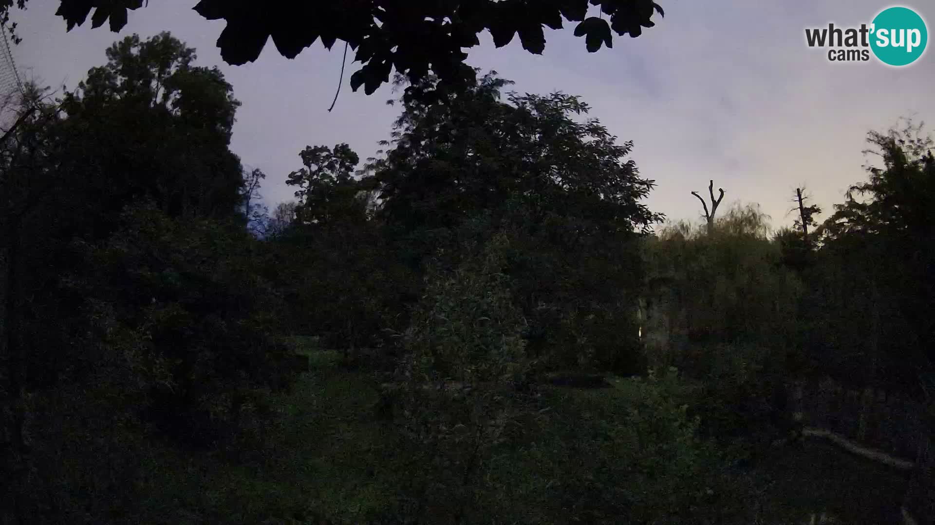 Zoo Zagreb – Löwen