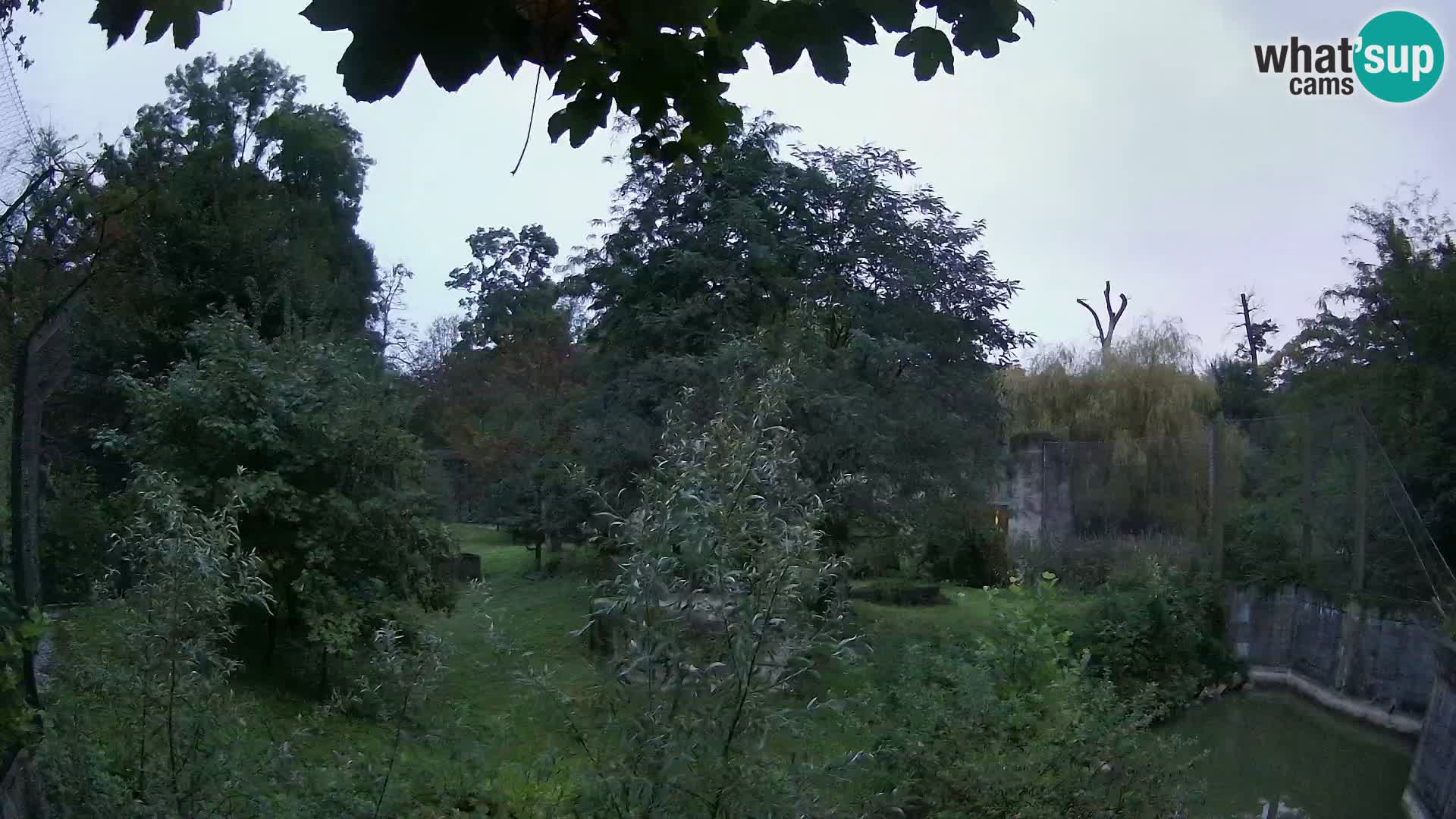 Zoo Zagreb – Löwen