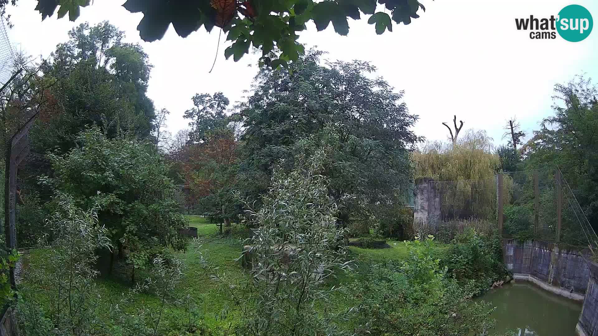 Zoo Zagreb – Leoni