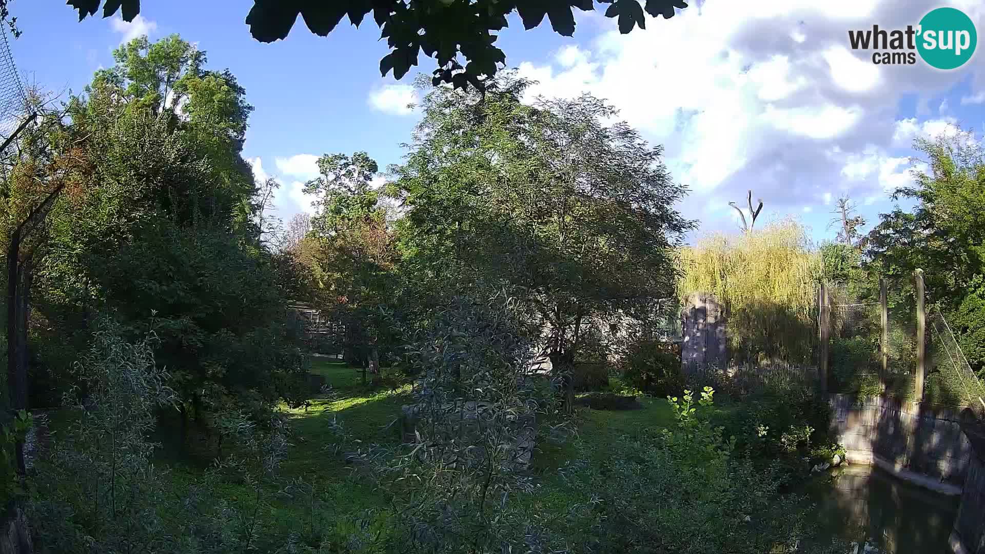 Zoo Zagreb – Löwen