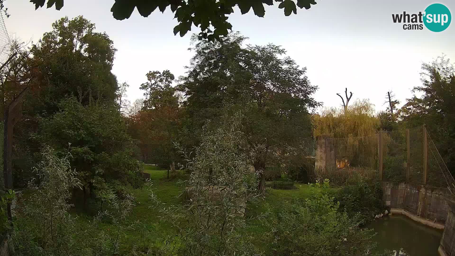 Zoo Zagreb – Löwen