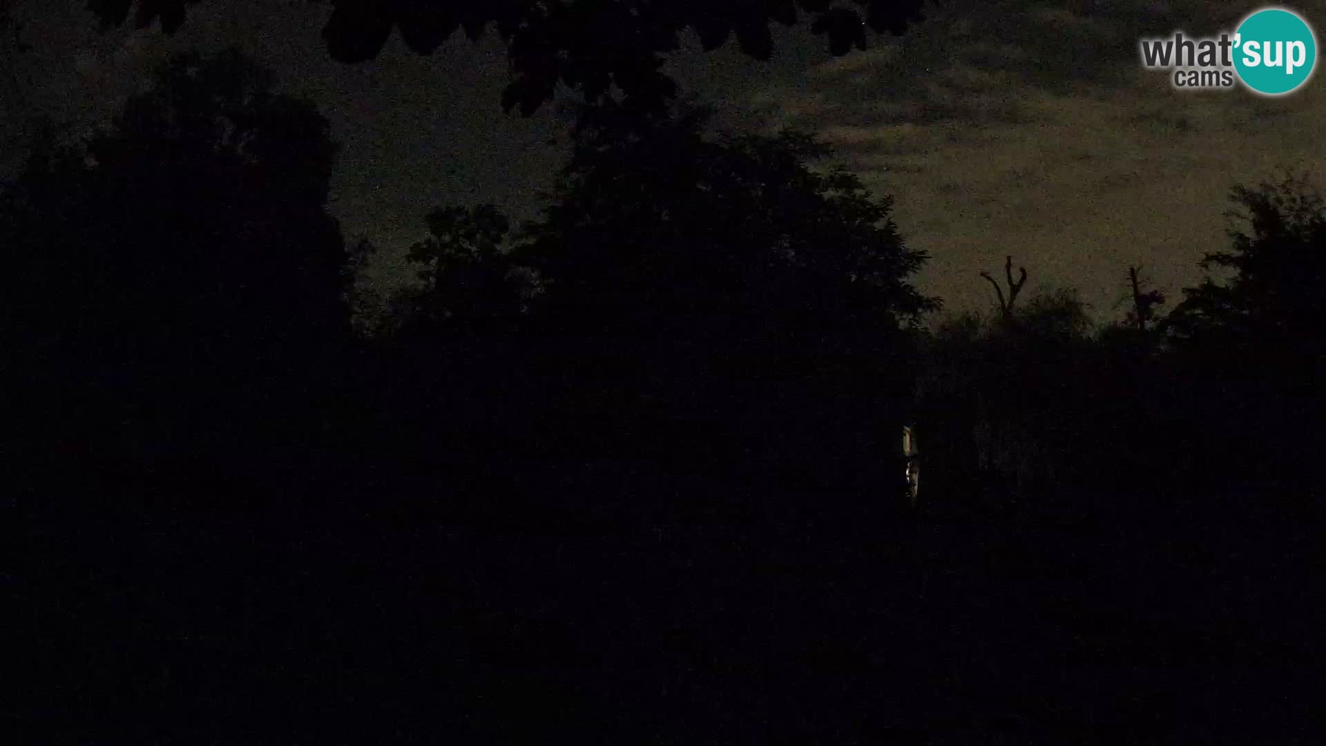 Zoo Zagreb – Löwen