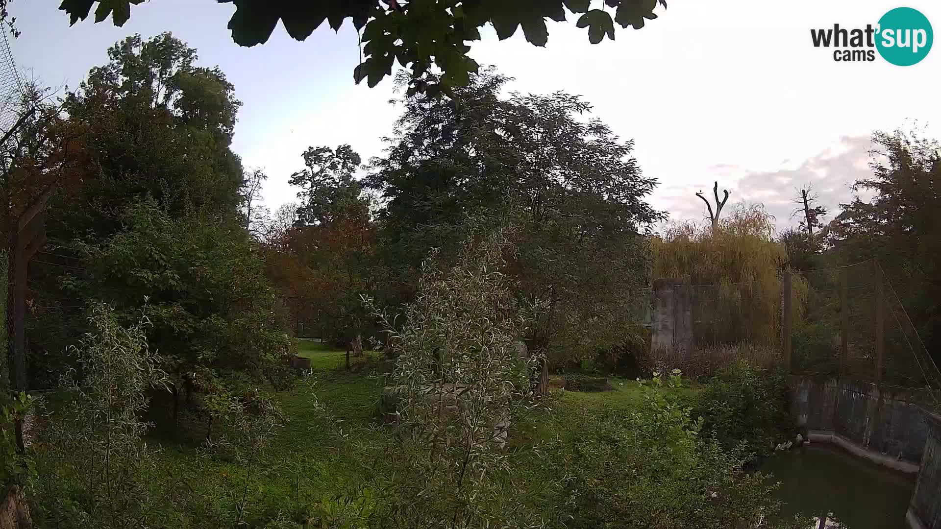 Zoo Zagreb – Leones