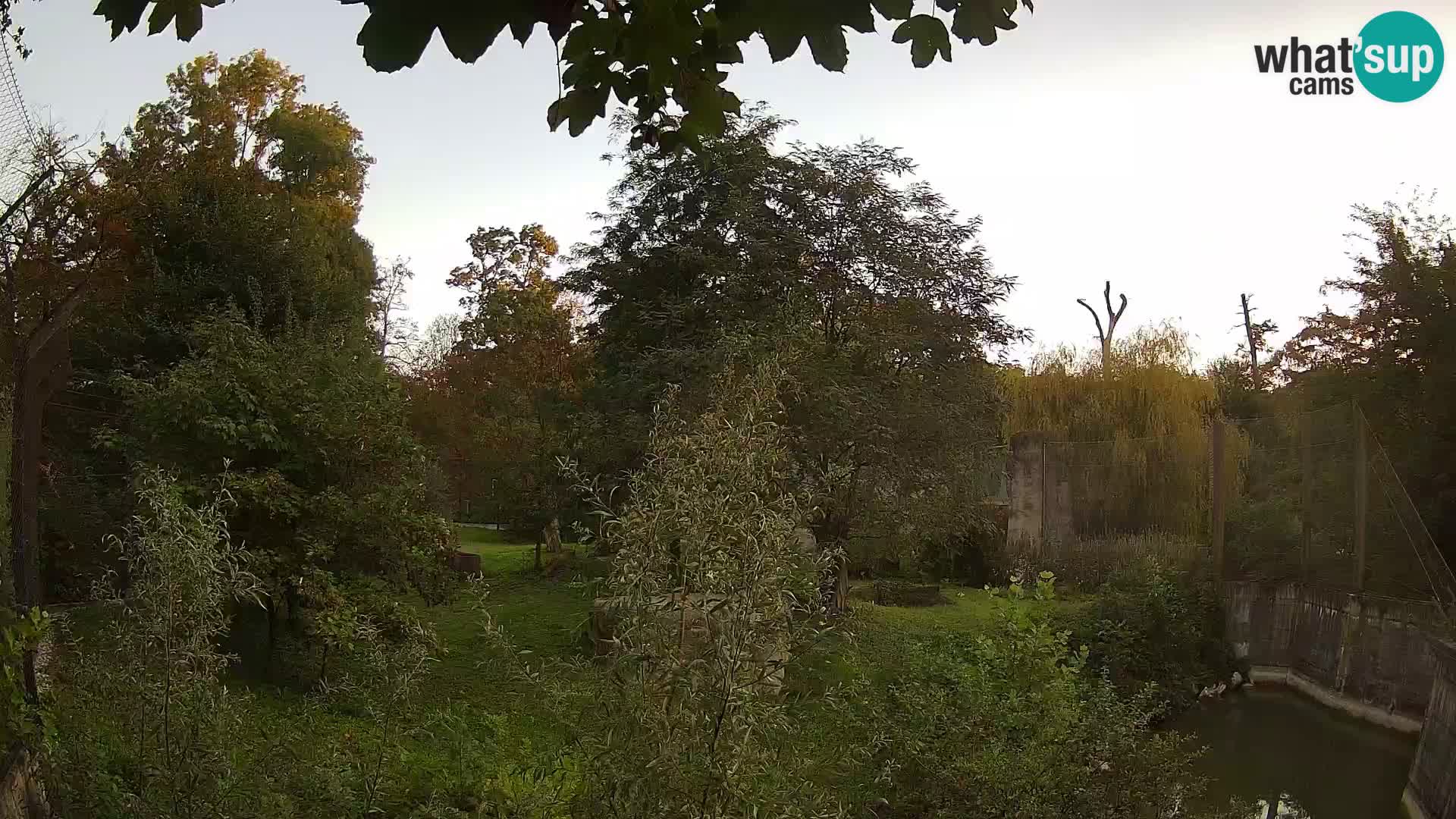 Zoo Zagreb – Löwen