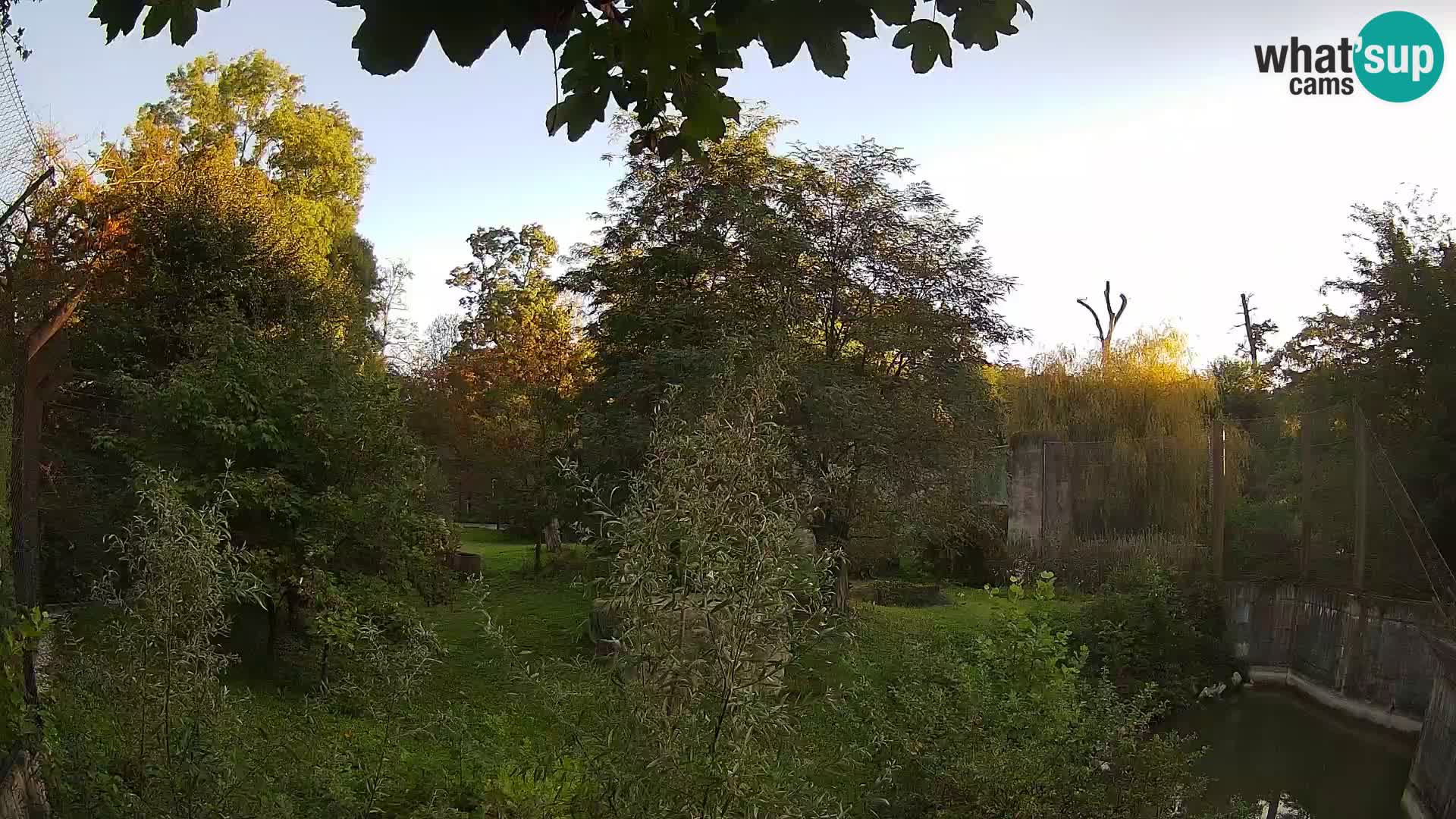 Zoo Zagreb – Leoni