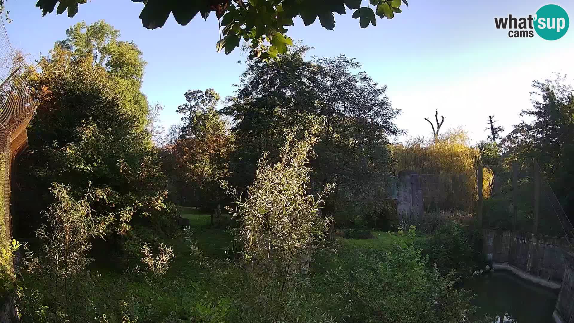 Zoo Zagreb – Lavovi