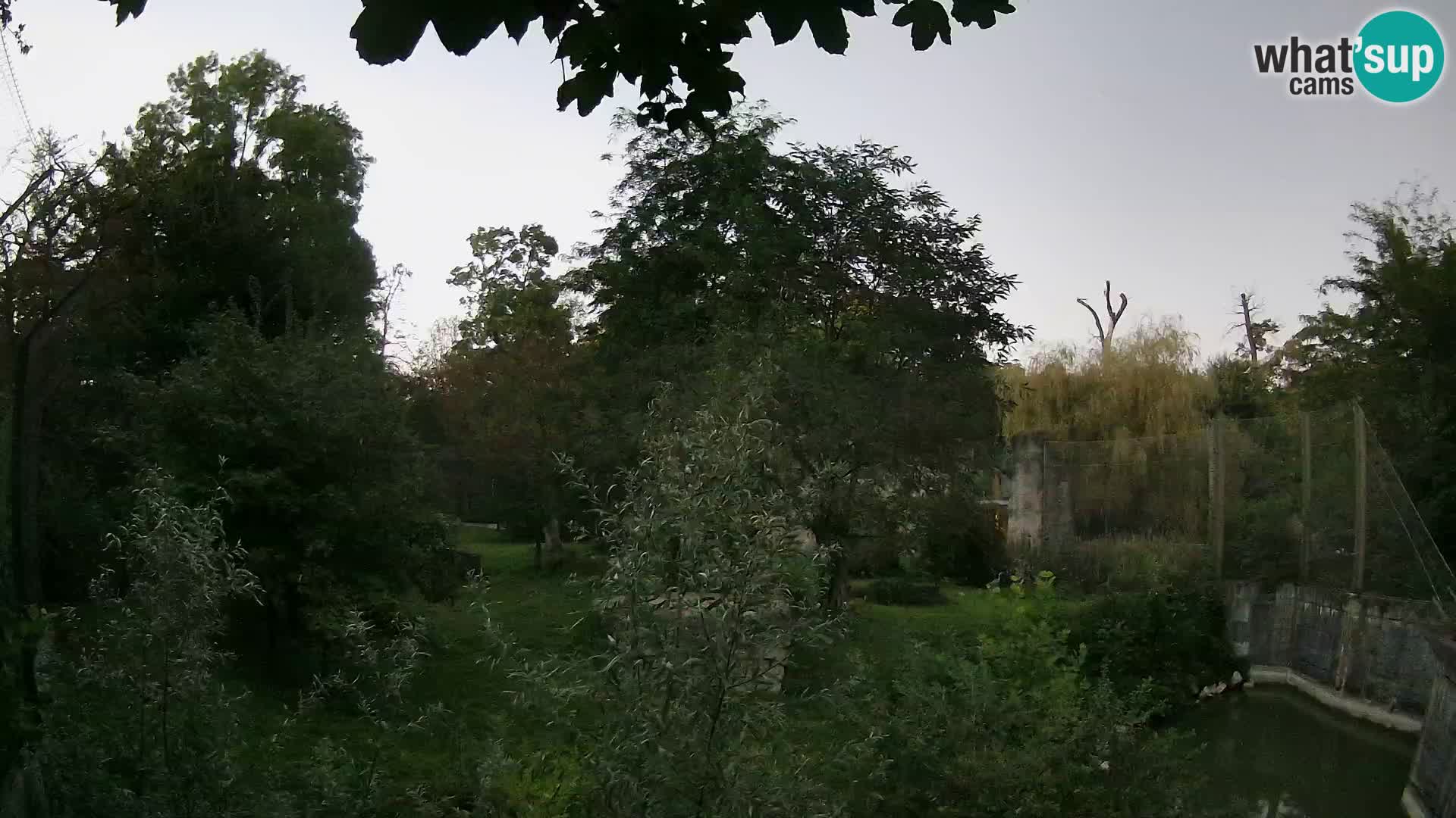 Zoo Zagreb – Lavovi