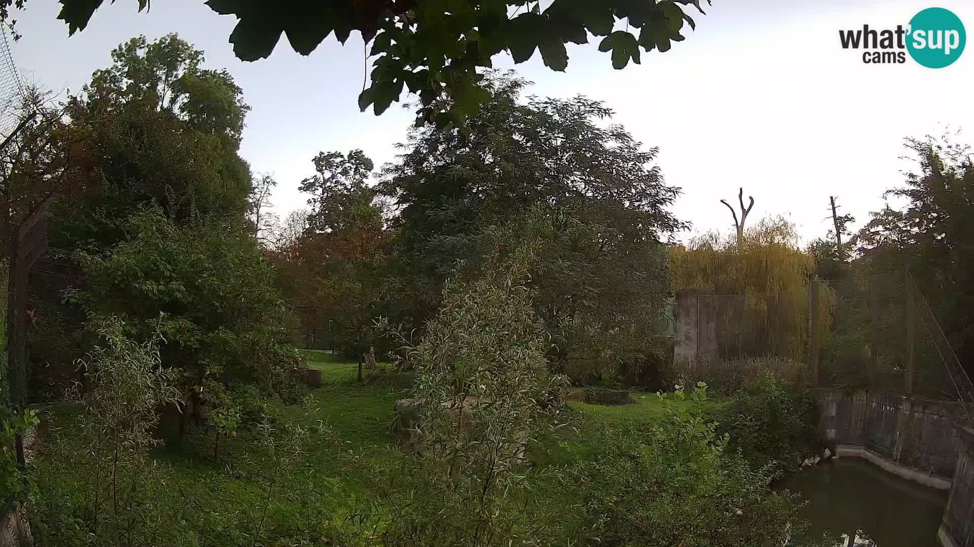 Zoo Zagreb – Leoni