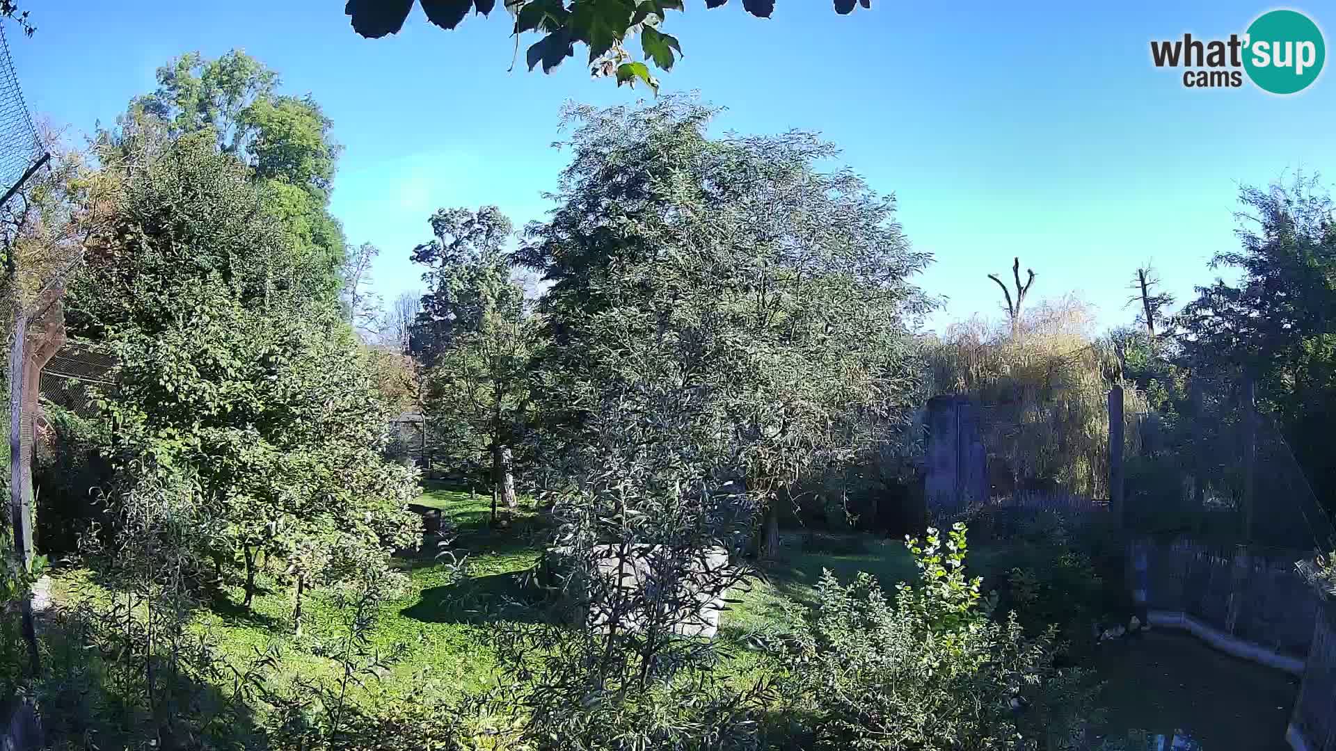 Zoo Zagreb – Leoni