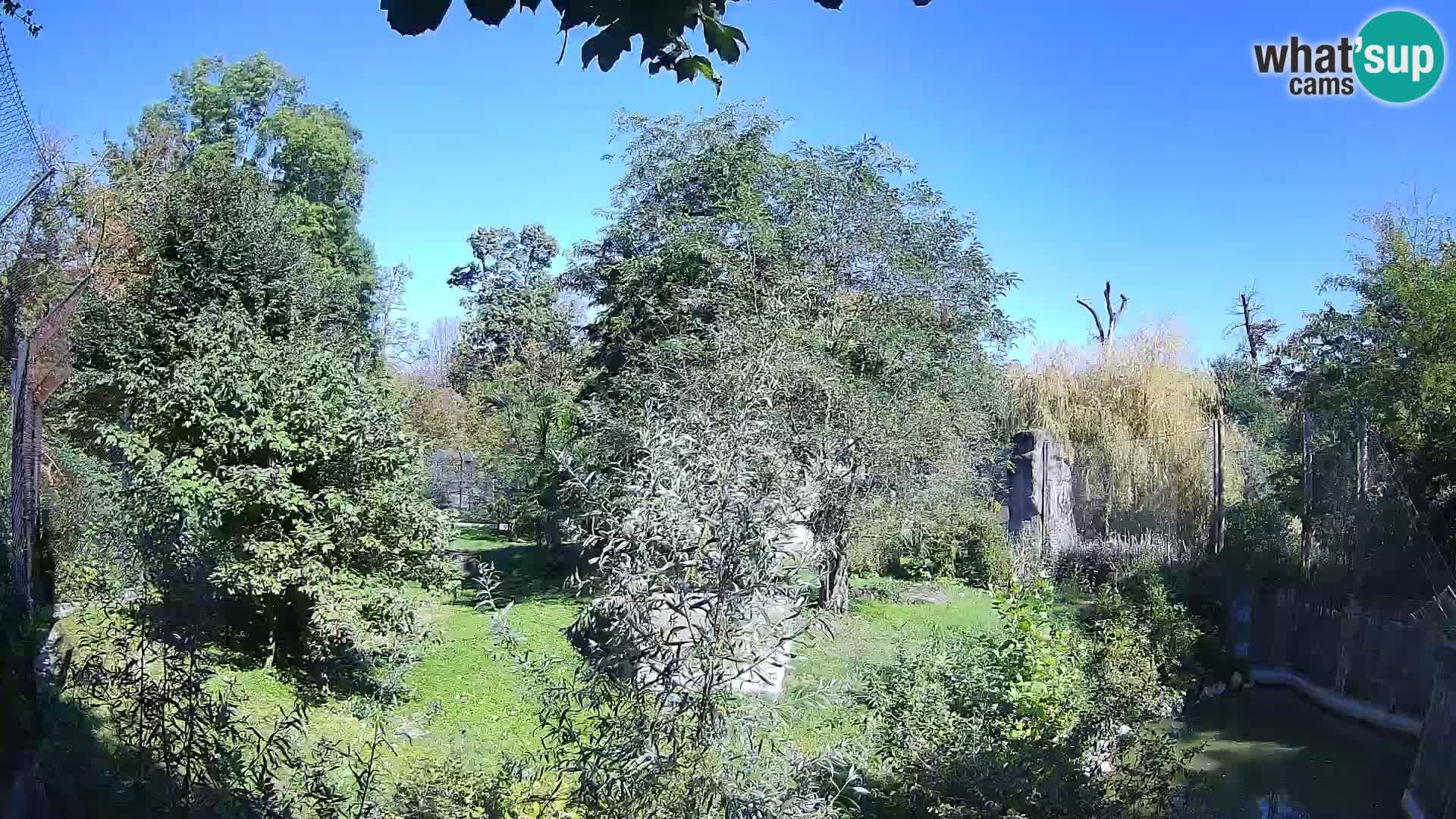 Zoo Zagreb – Leoni